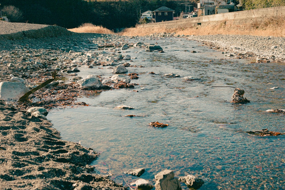 body of water with rocks