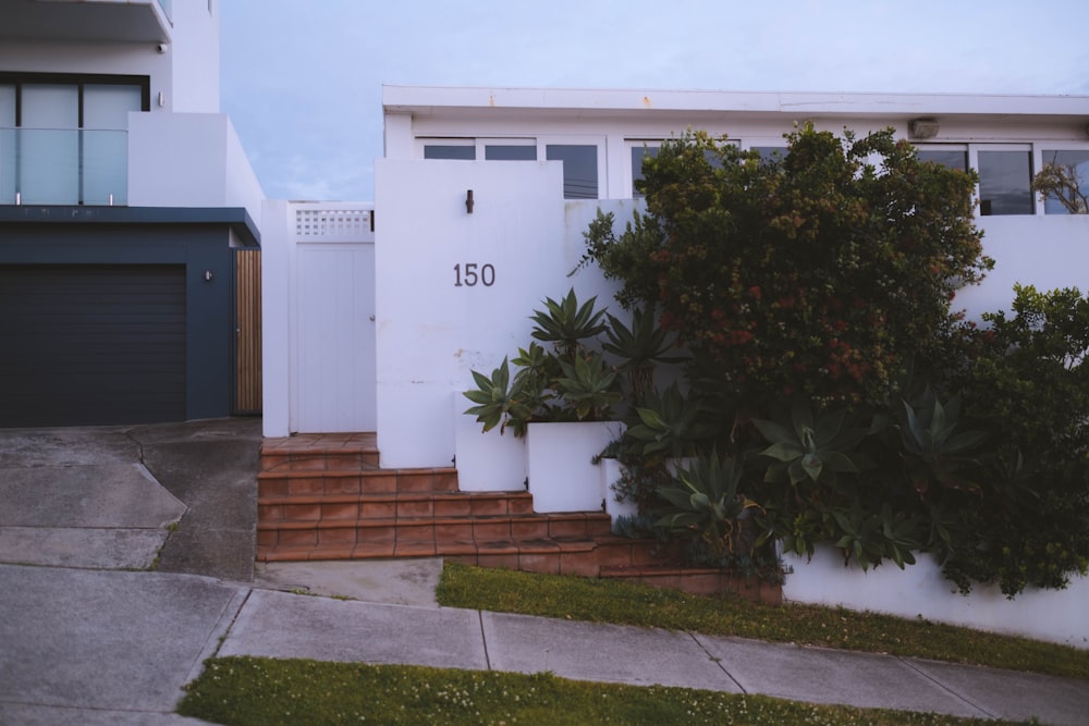 green plants beside white concrete building