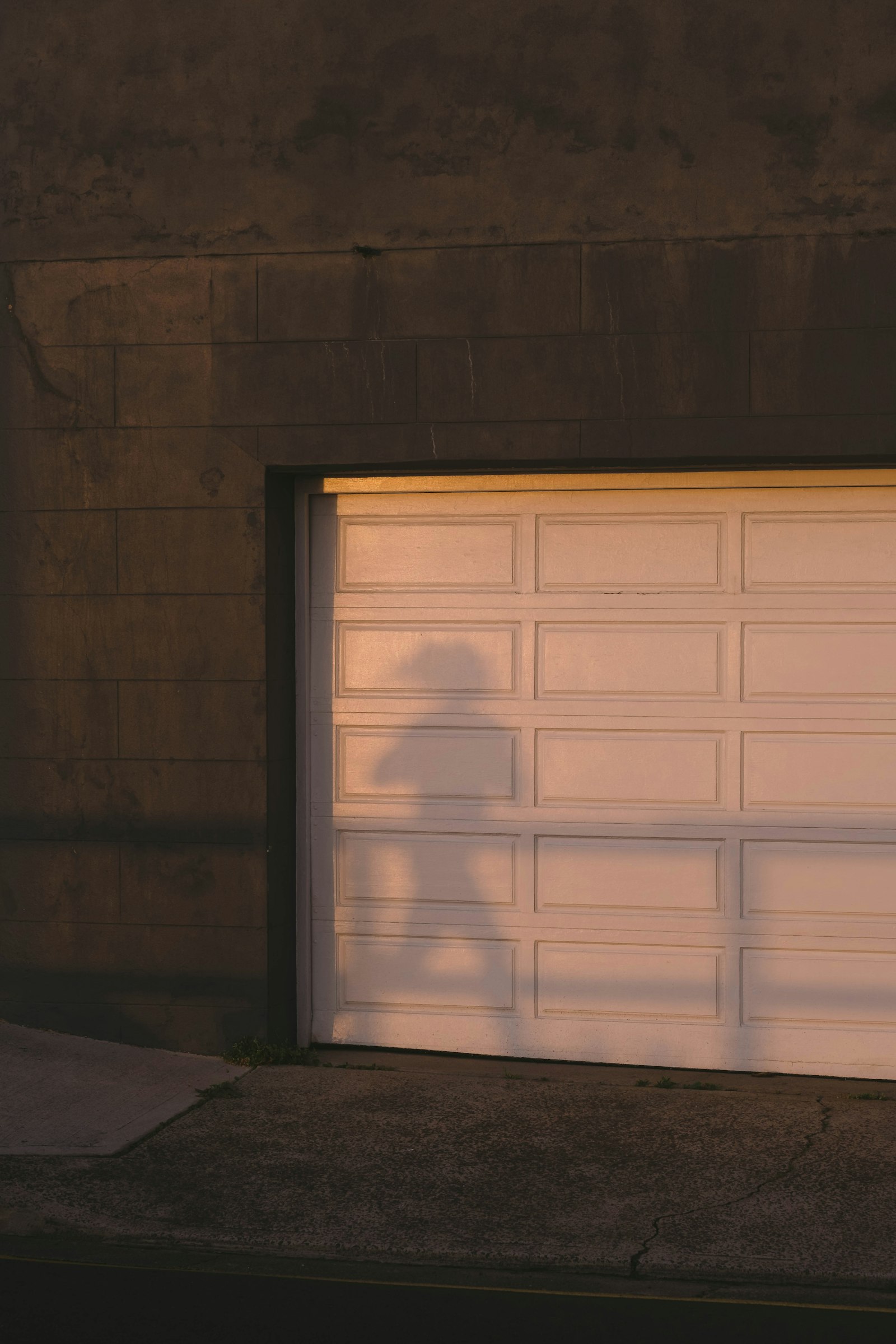 Carriage house looks on a modern door