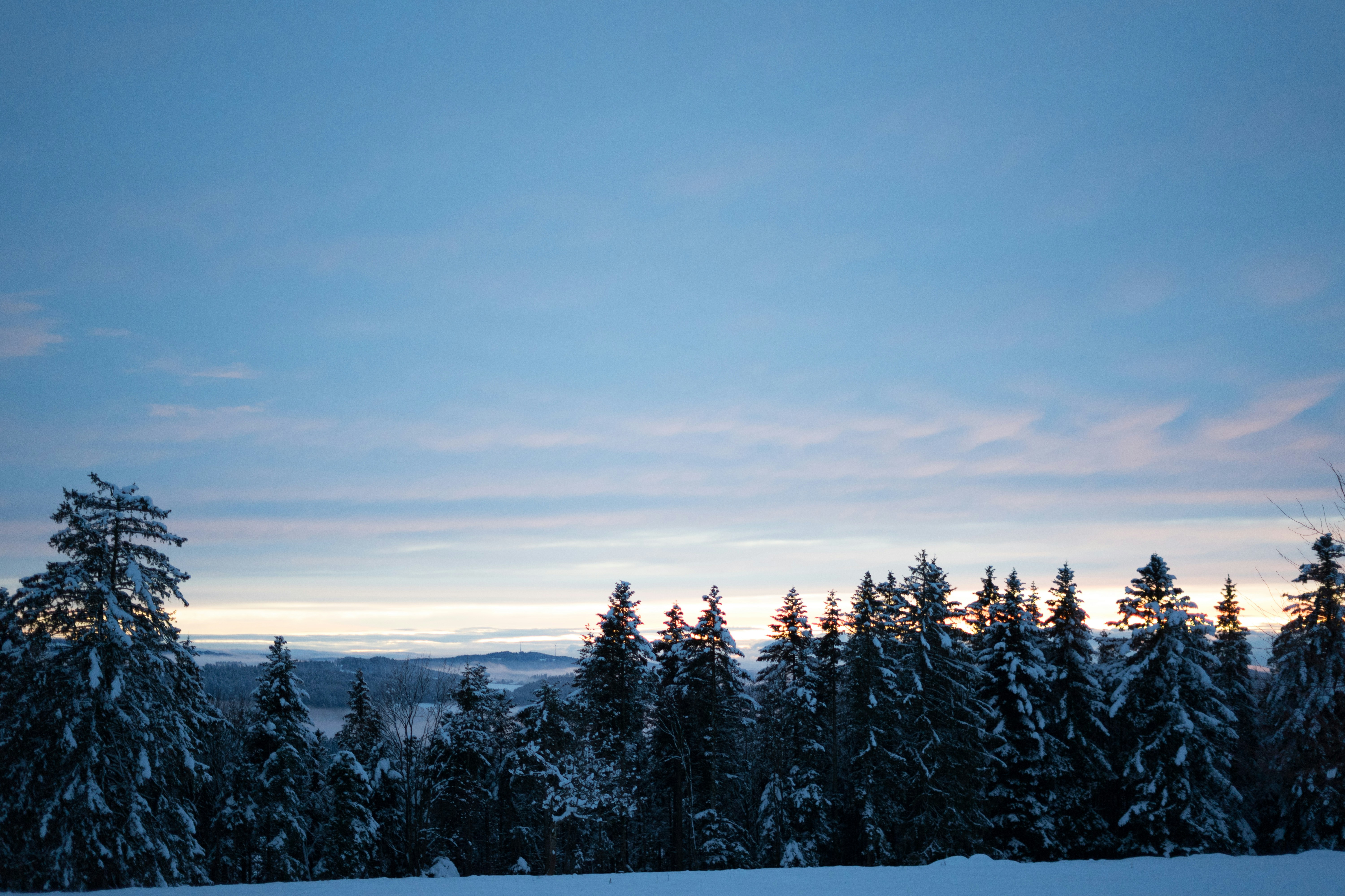 Photo by virussinside