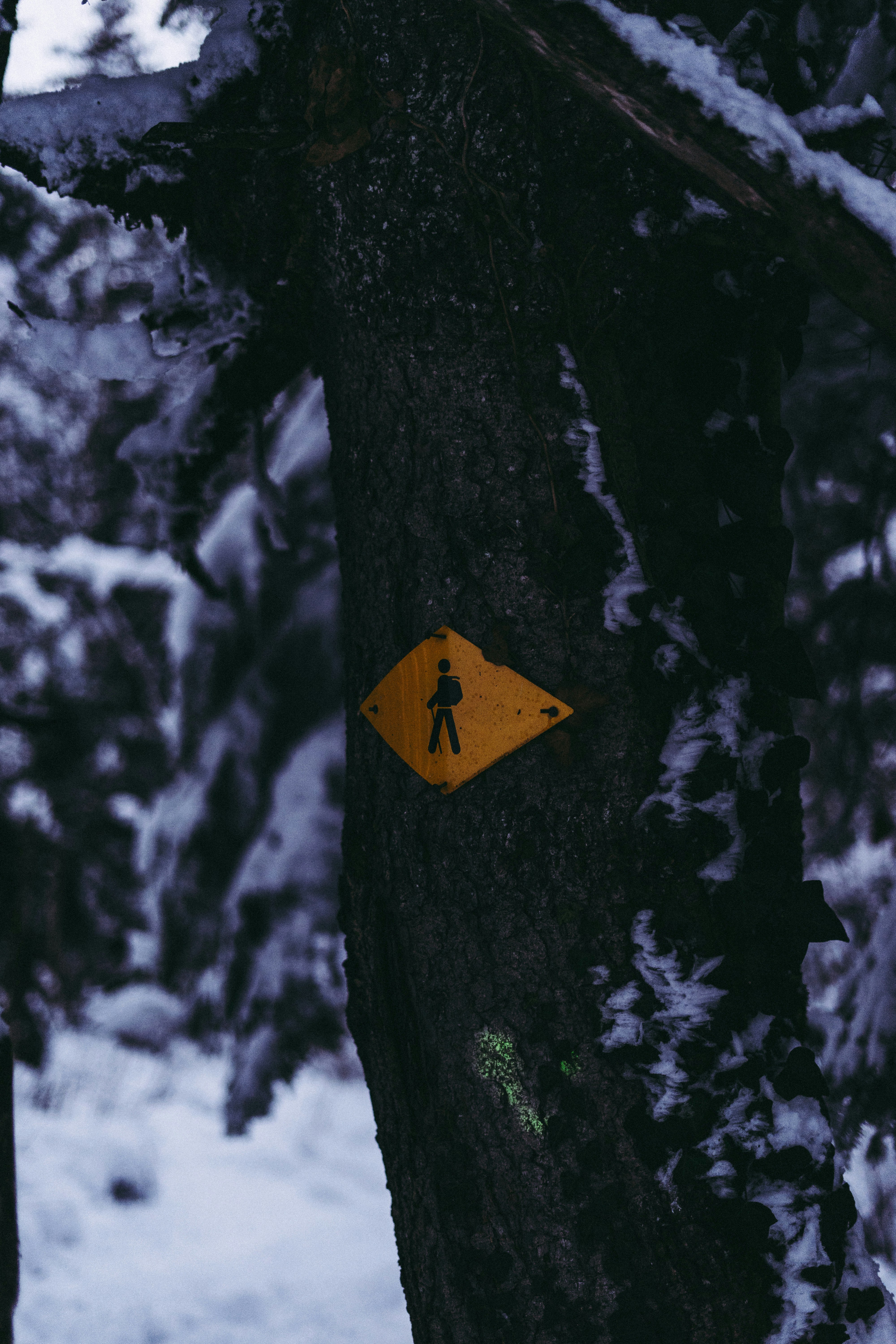 Photo by virussinside