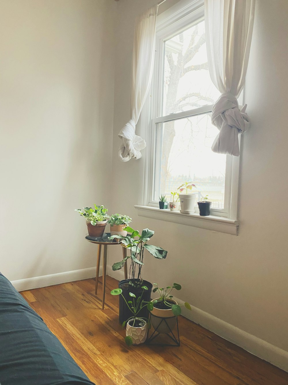 white flower on brown wooden table