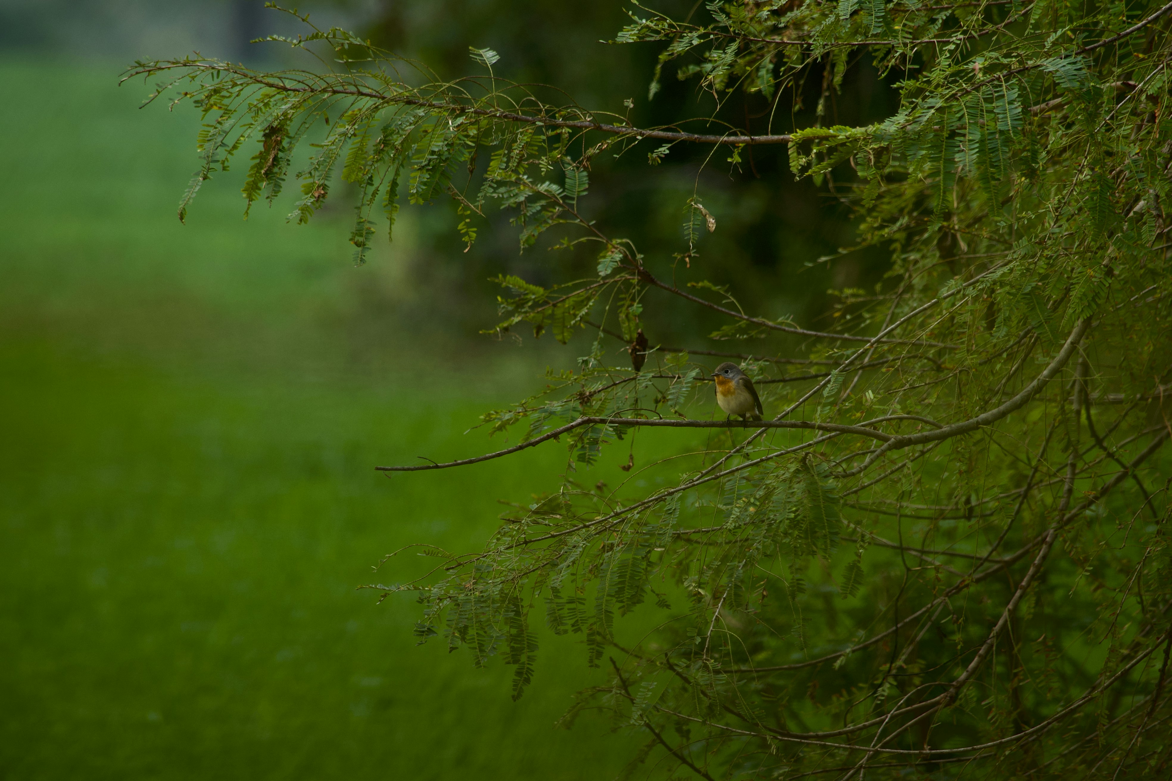 Photo by rrajputphotography