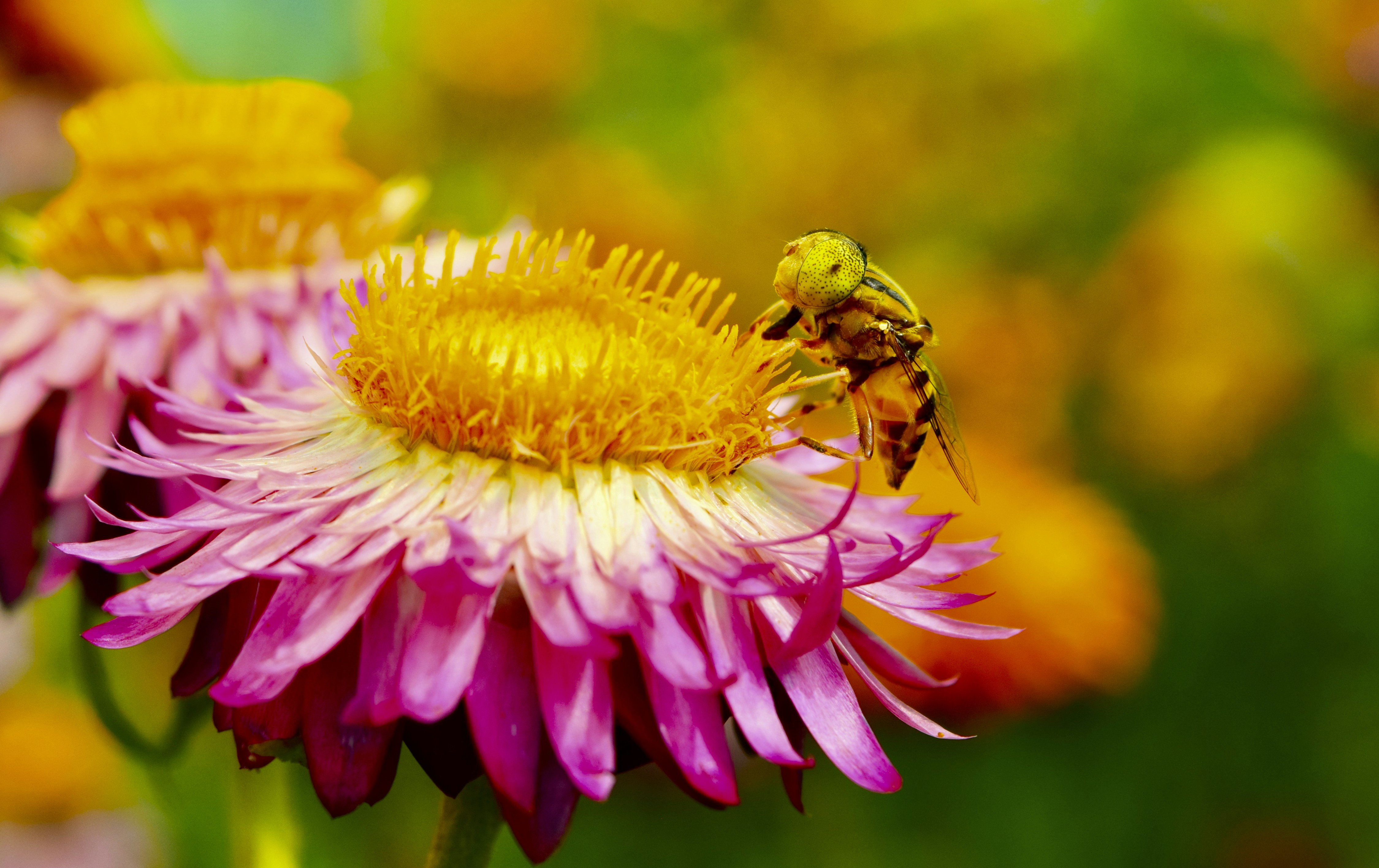 Photo by rrajputphotography