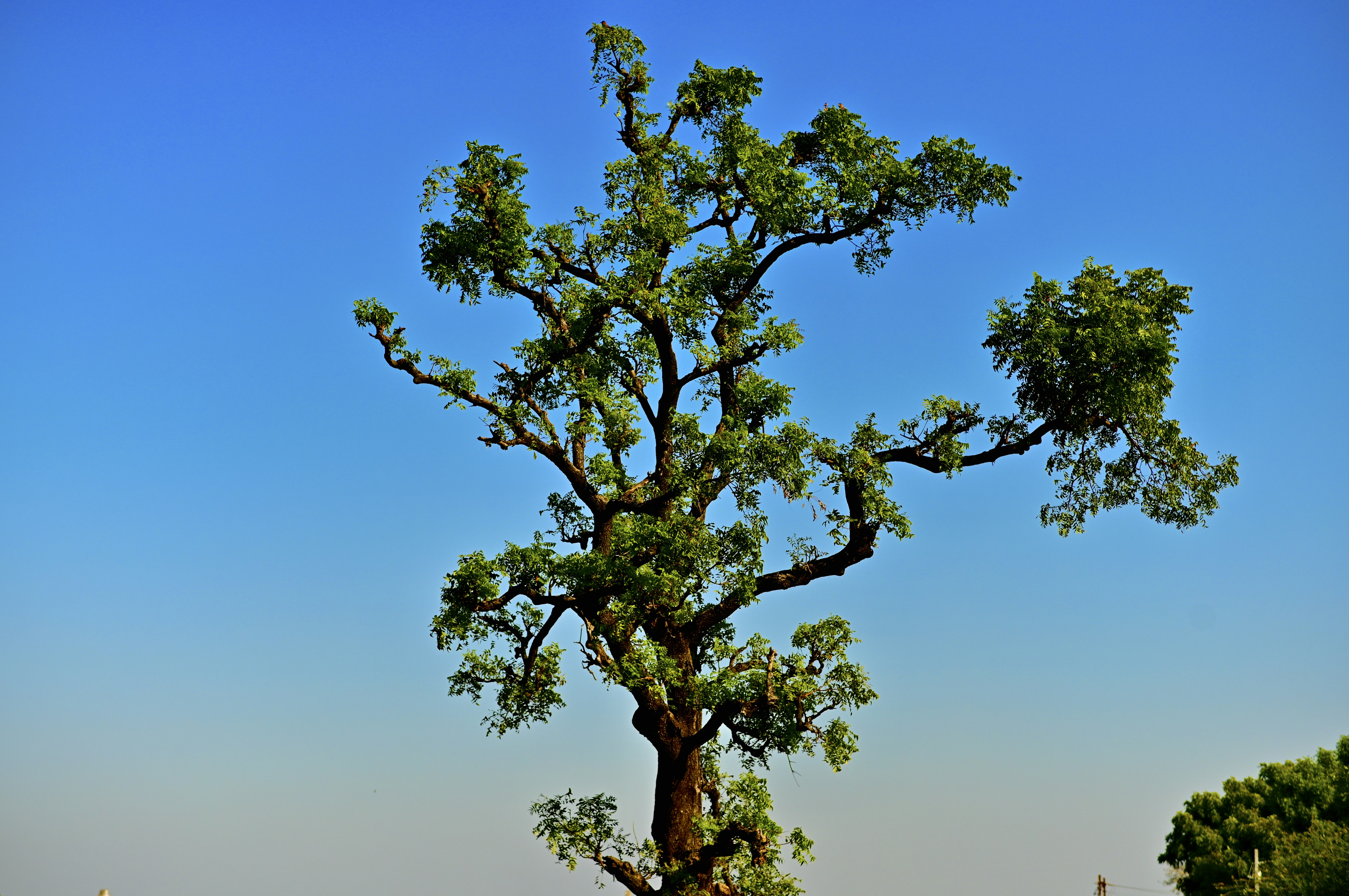 Photo by rrajputphotography