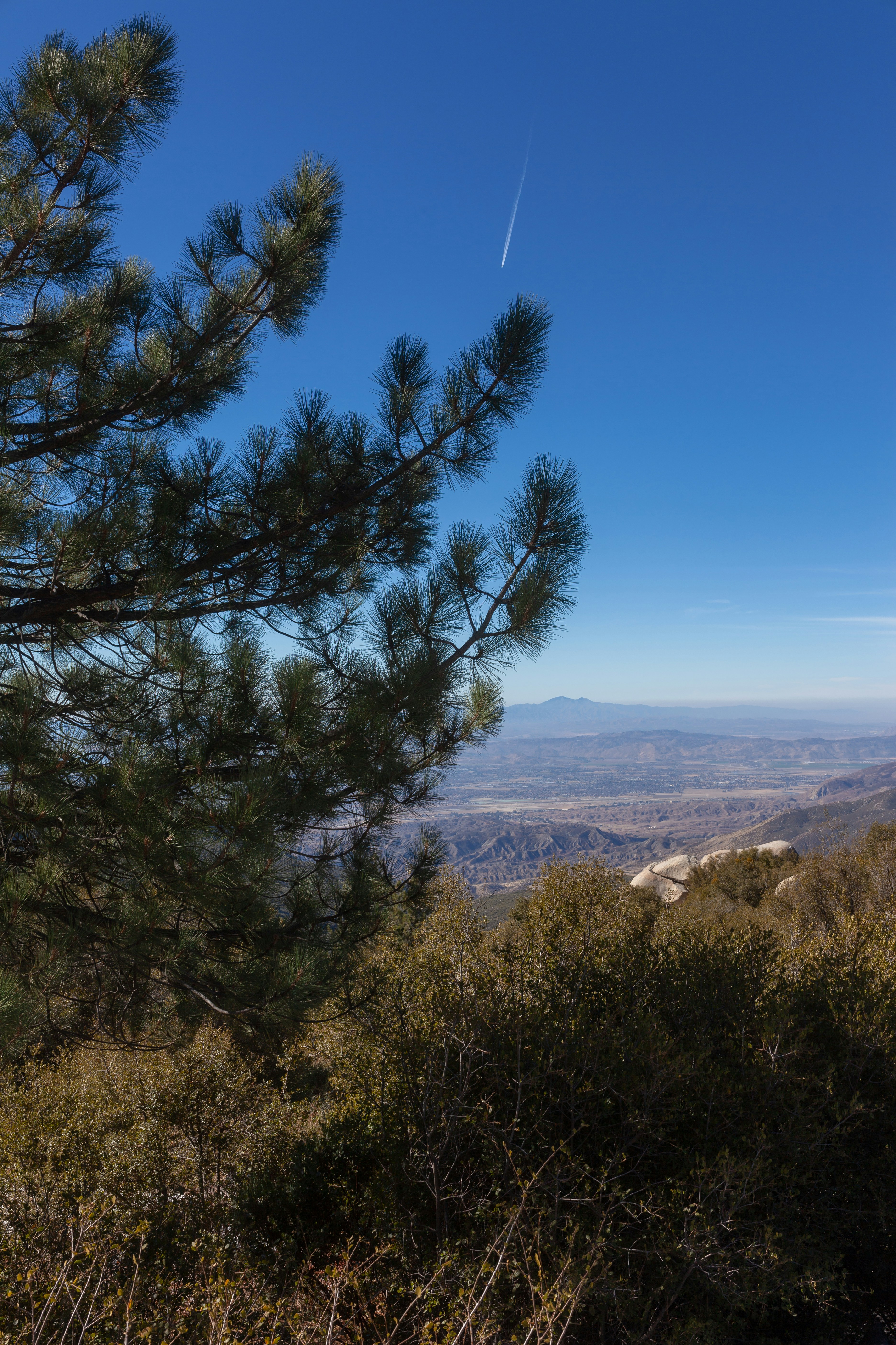 Photo by capturedbyjavi