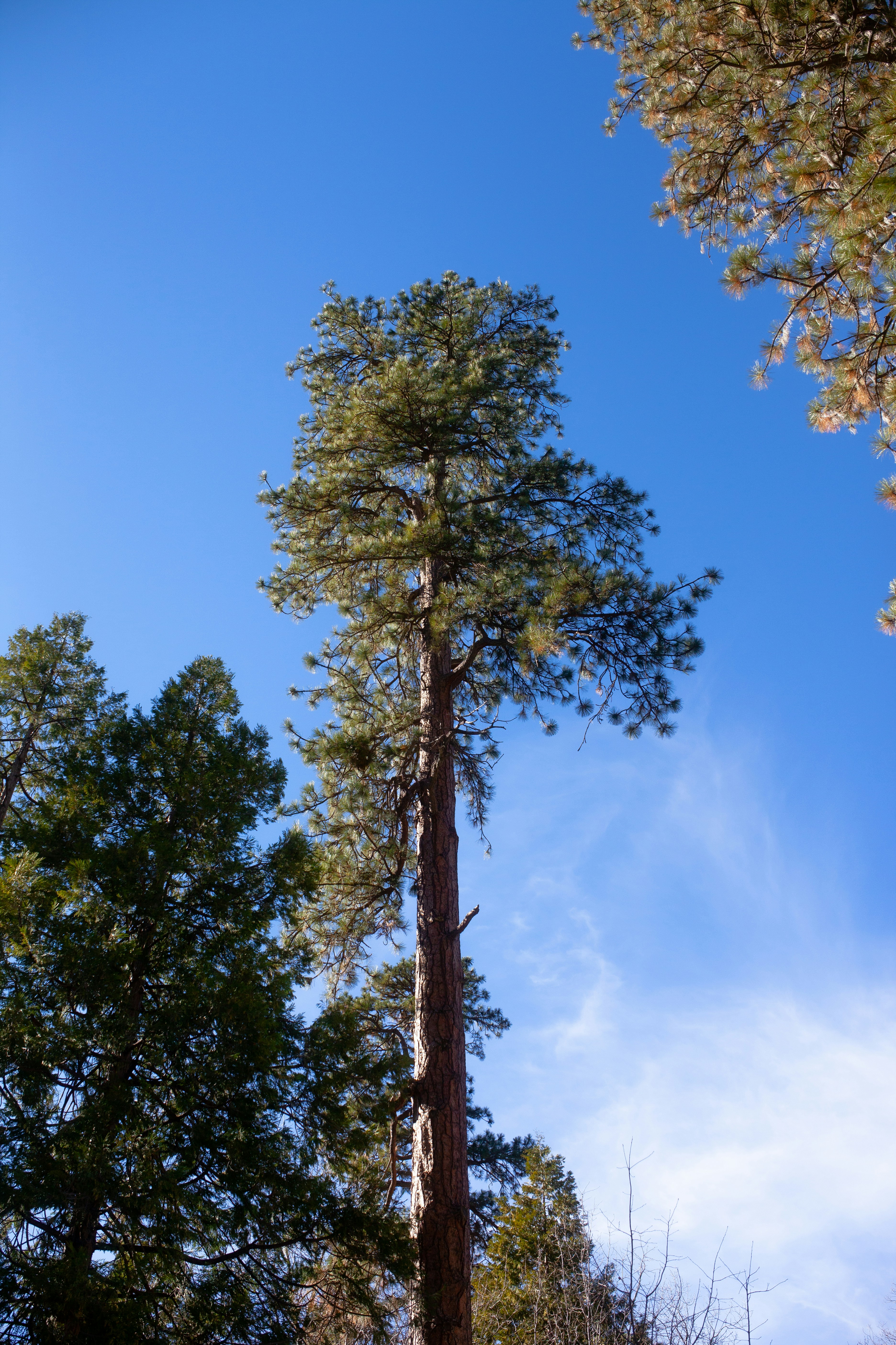 Photo by capturedbyjavi