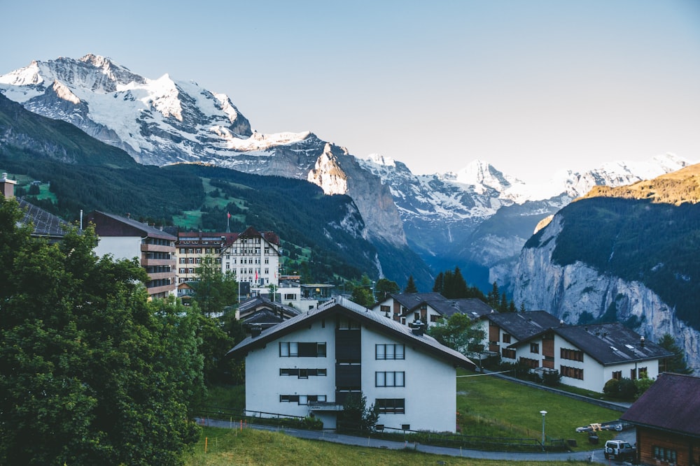 weißes und schwarzes Haus in der Nähe von grünen Bäumen und schneebedeckten Bergen tagsüber