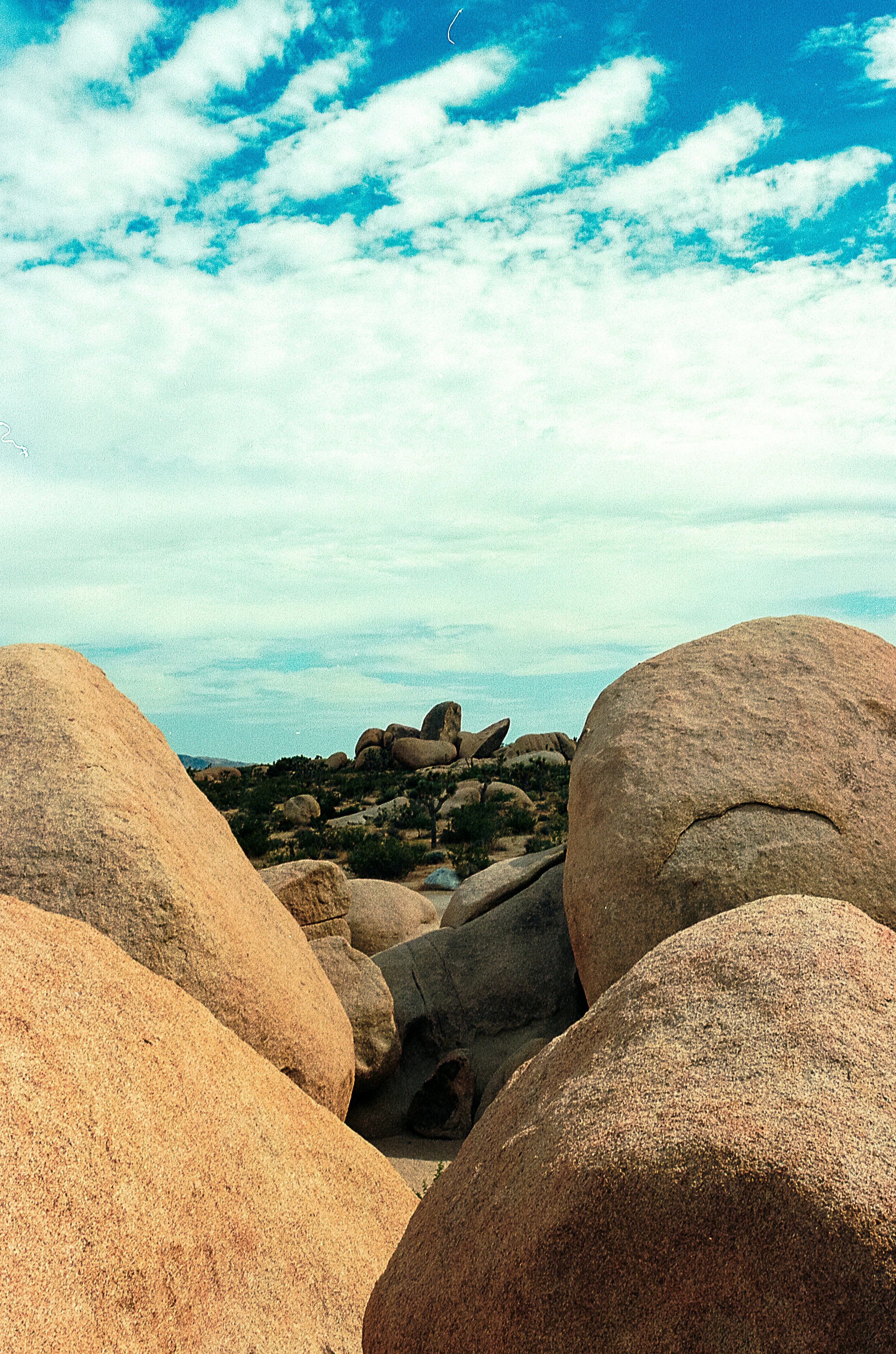 Photo by capturedbyjavi