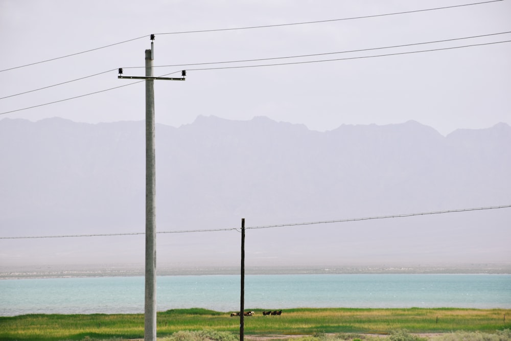 green grass field near body of water during daytime