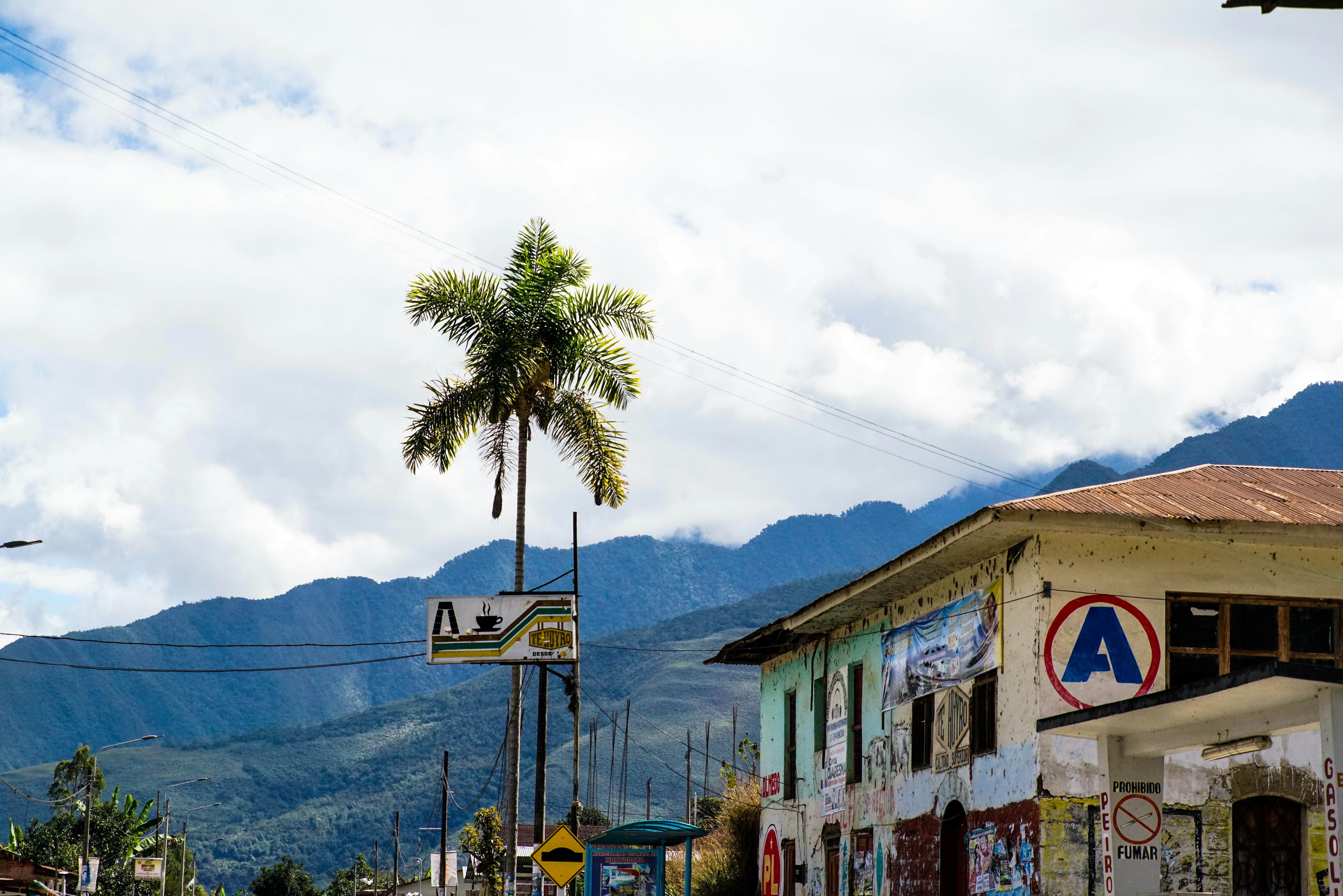 Photo by federicoscarionati