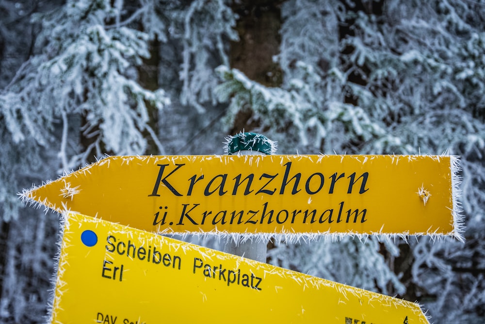 person in black jacket and blue pants riding on black ski blades