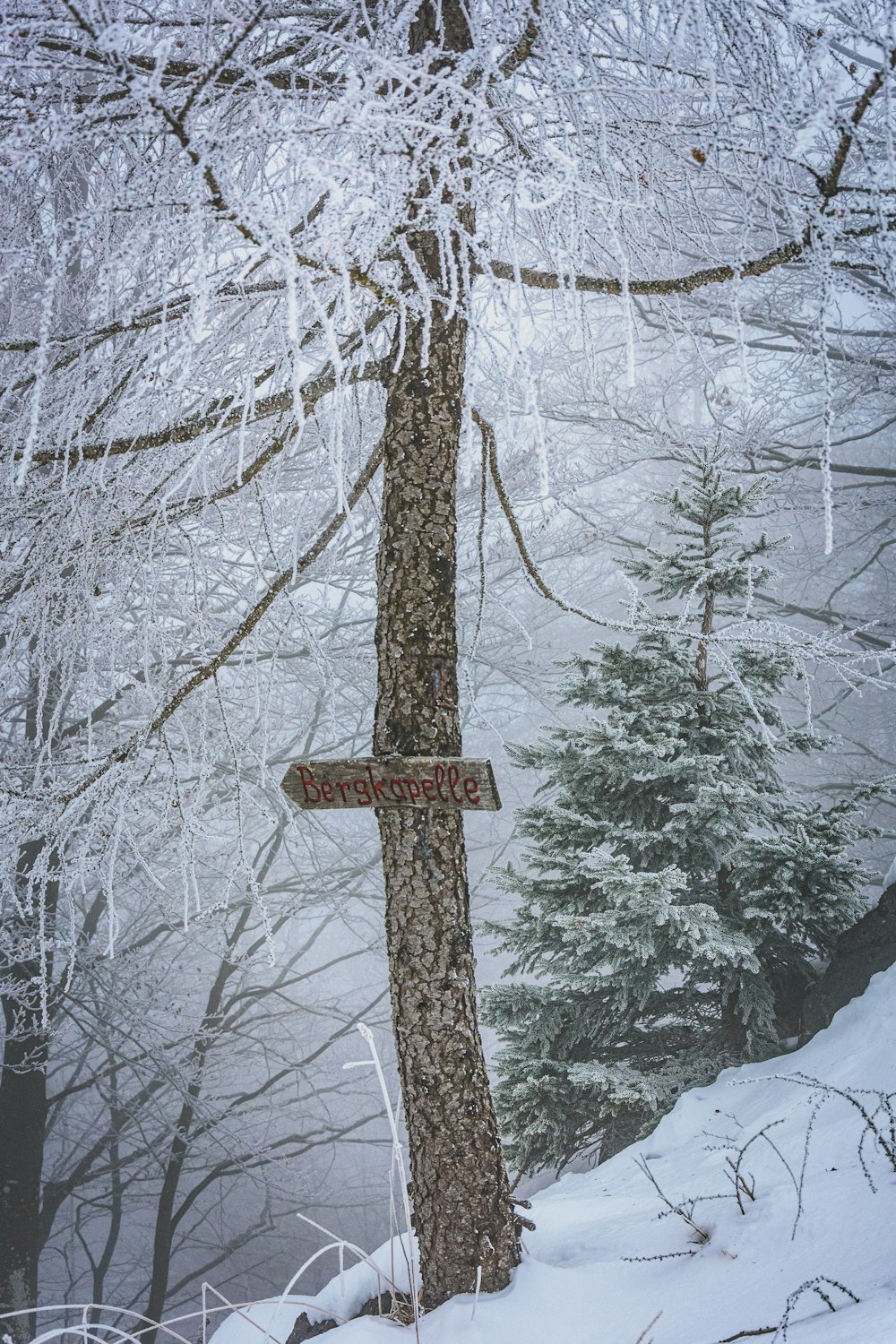 cruz de madera marrón sobre suelo nevado