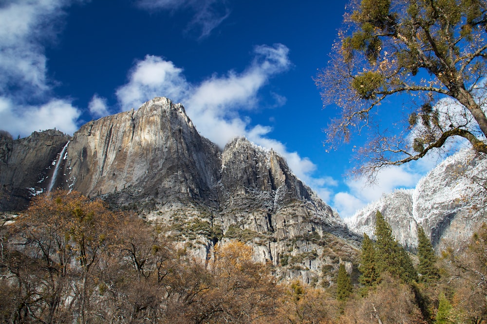 arbres verts près de la montagne rocheuse sous le ciel bleu pendant la journée