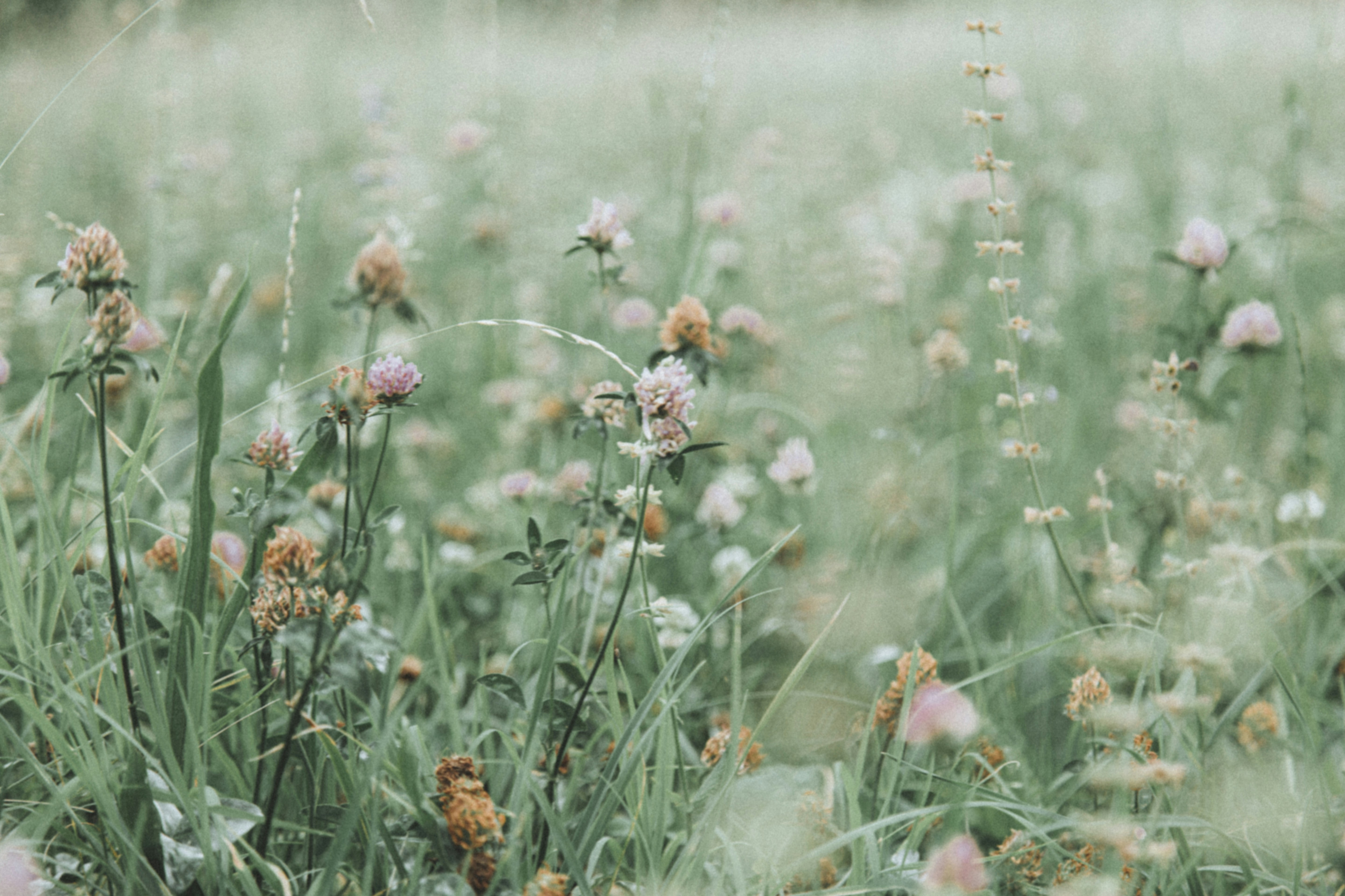 Photo by i_am_simoesse