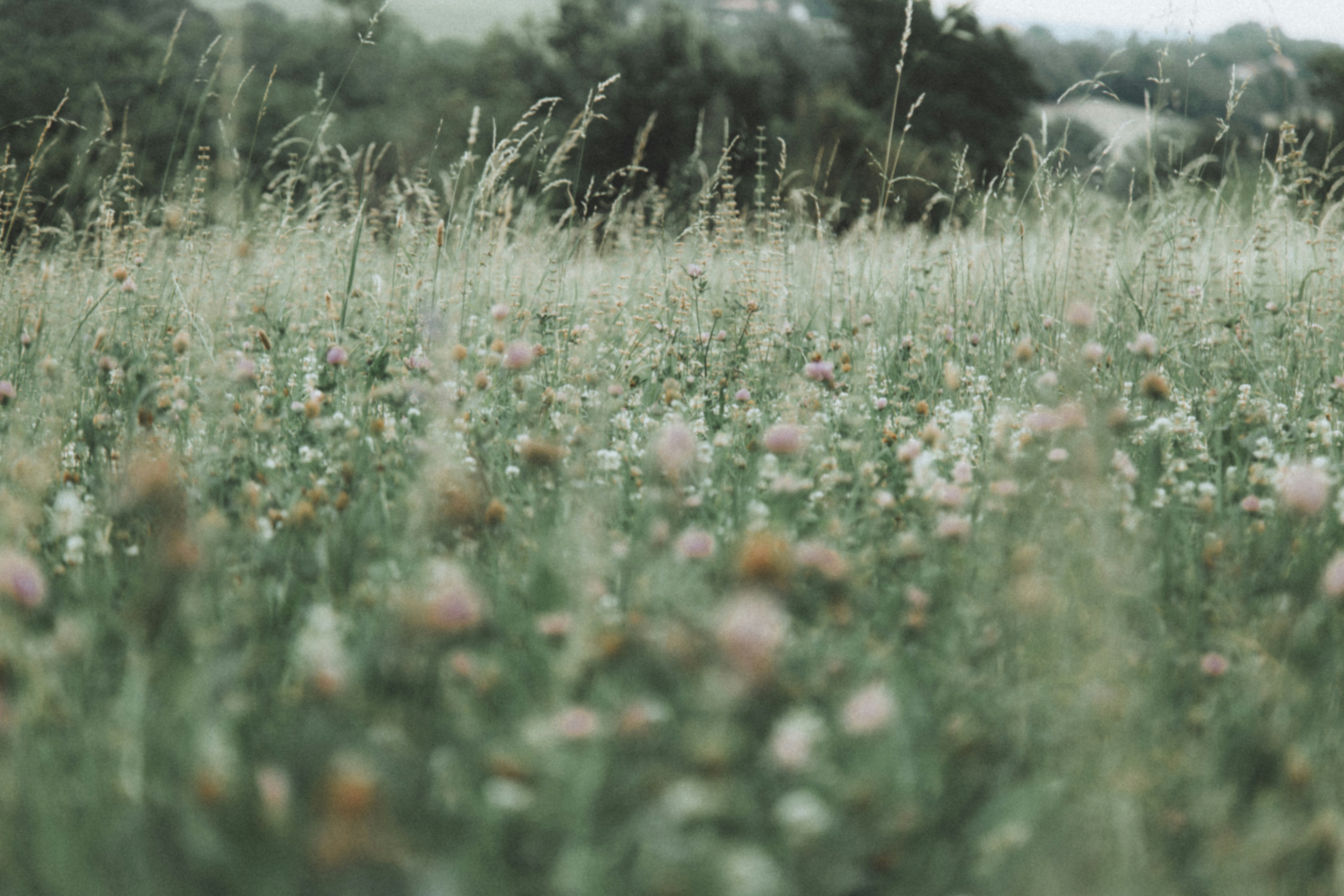 Photo by i_am_simoesse