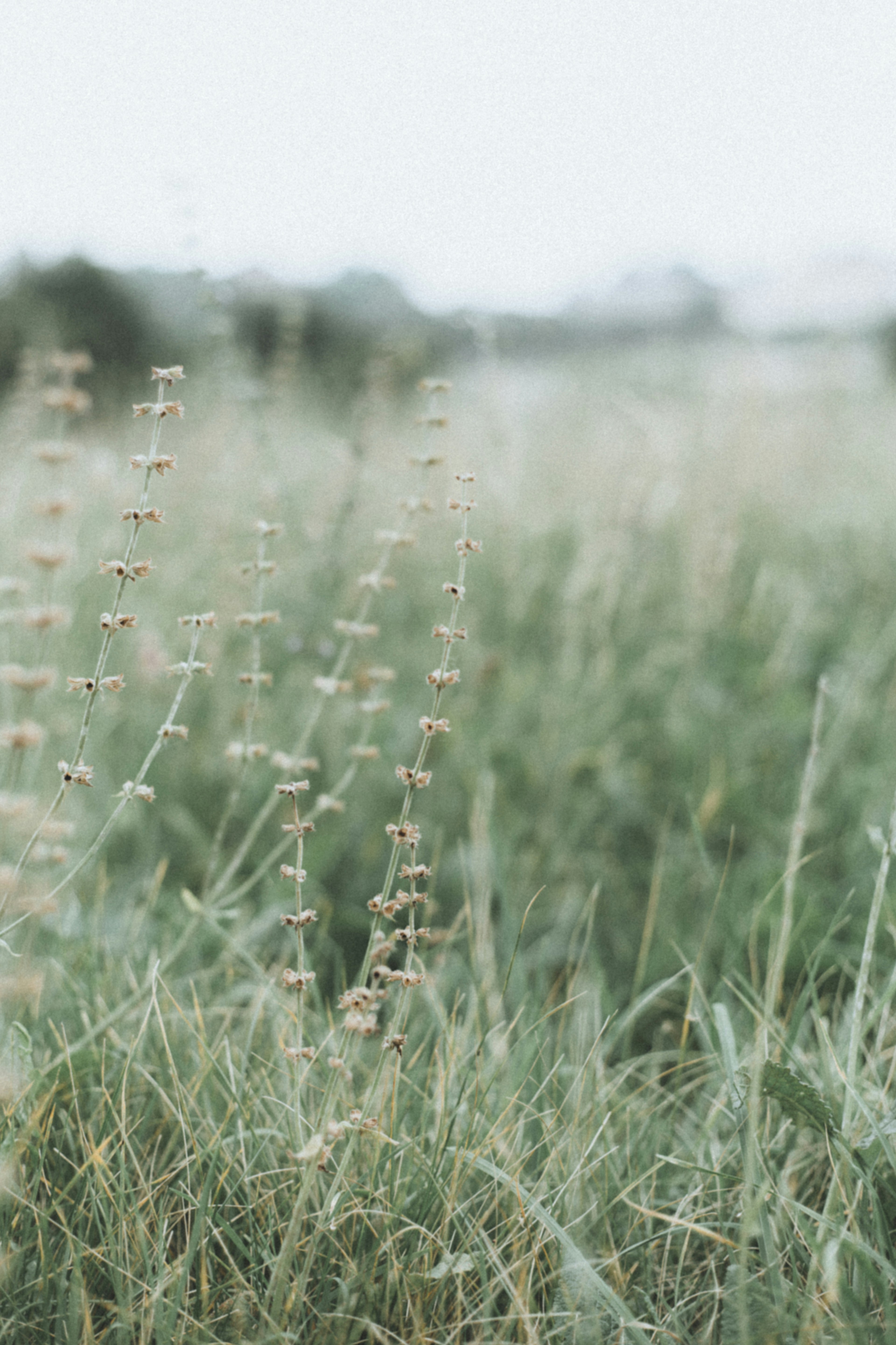 Photo by i_am_simoesse