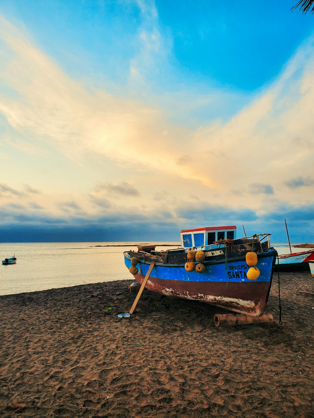 brown and white boat on beach during daytime