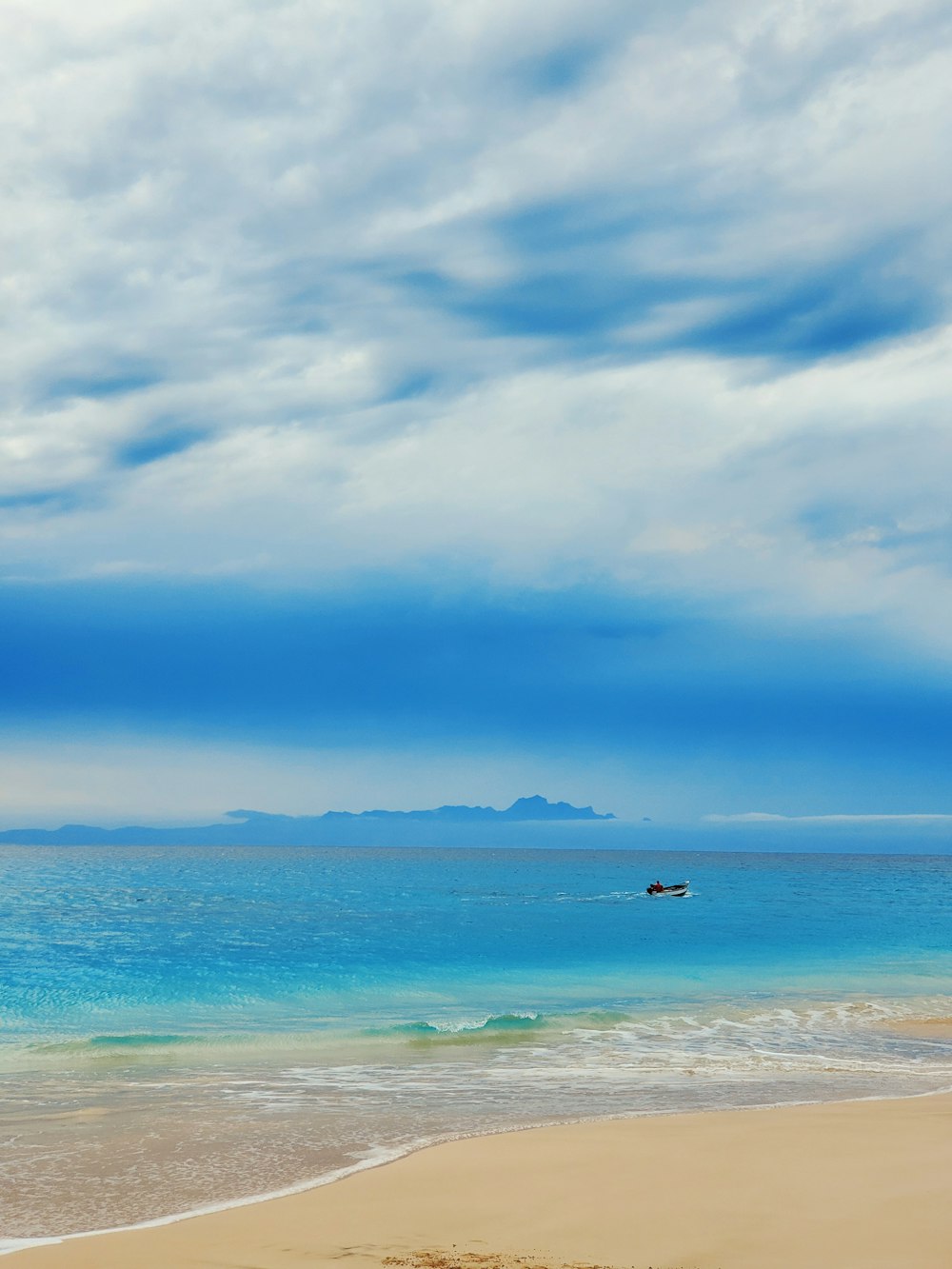 people on beach during daytime