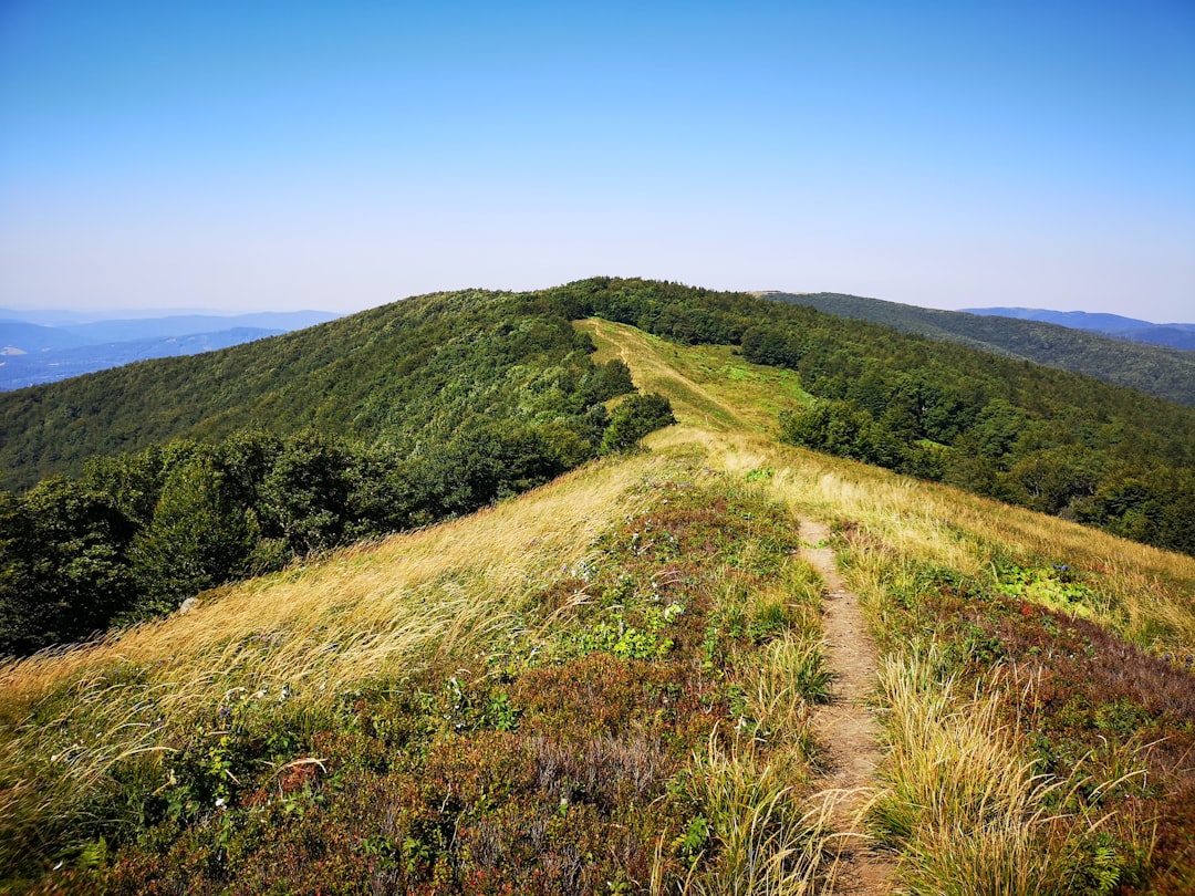 Slovak Mountain Safety App A Game-Changer for Hikers and Rescuers… — Slovak Mountain Safety App A Game-Changer