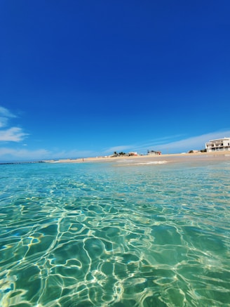 people on beach during daytime