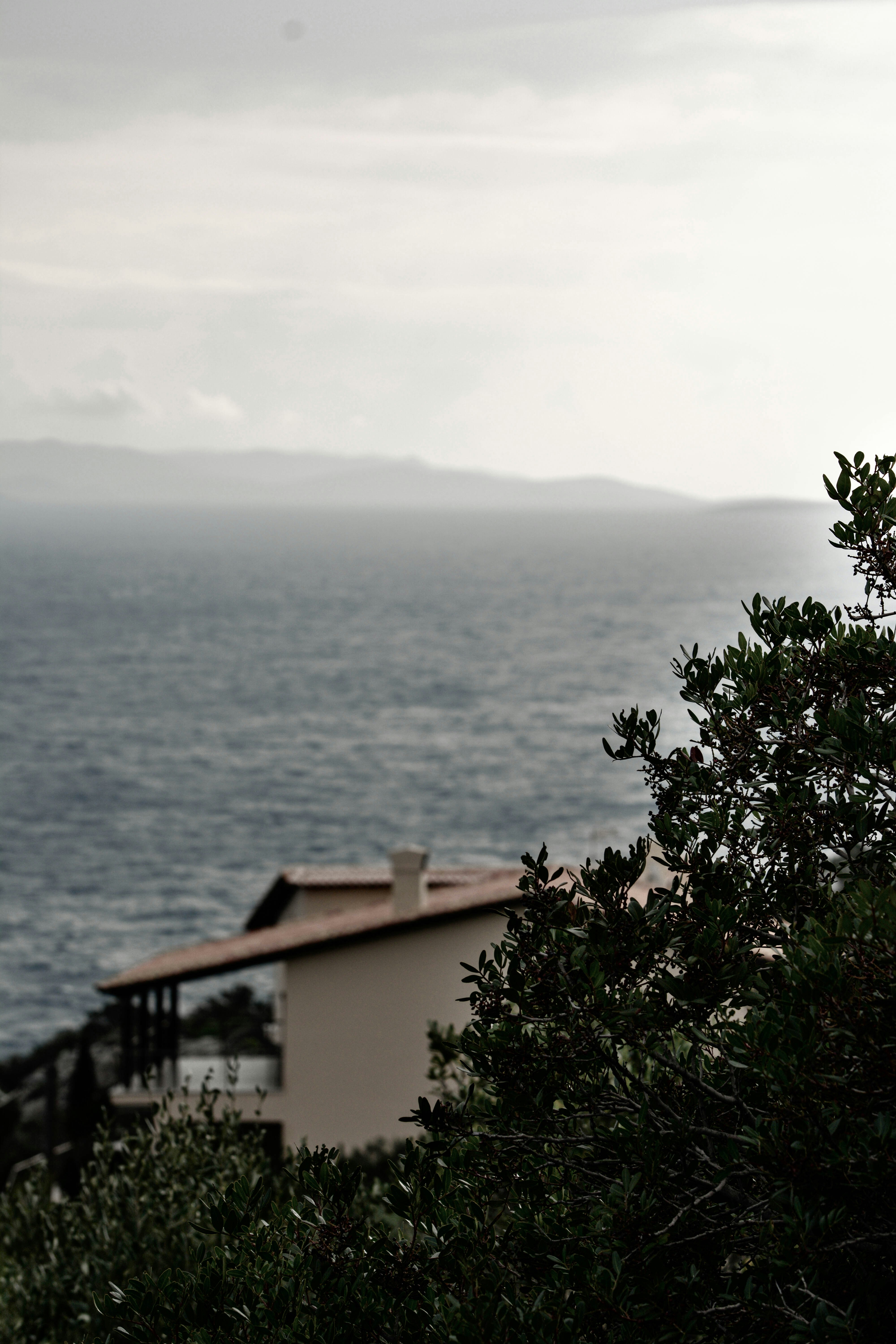 Photo by christinadera