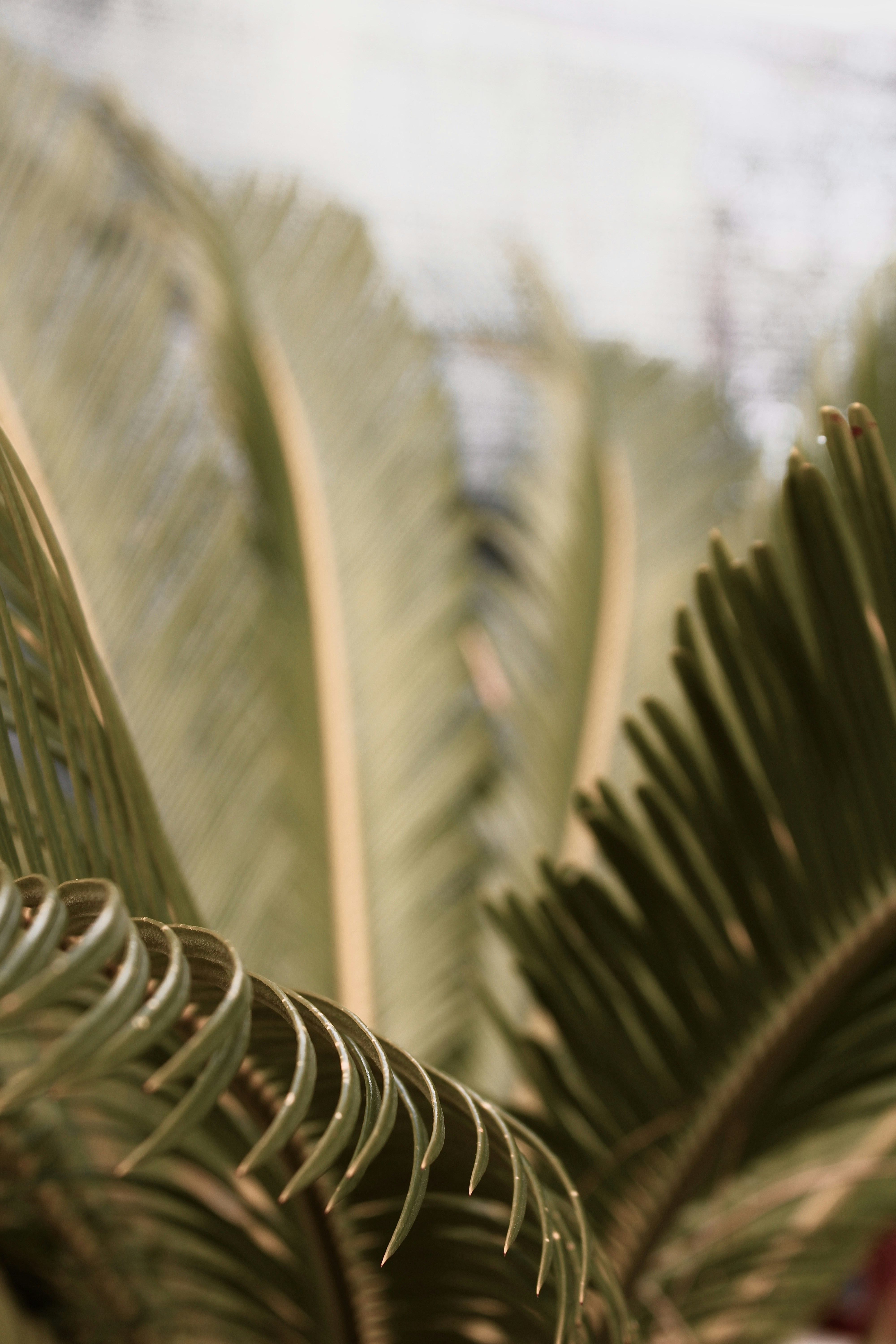 Photo by _angiphotographer