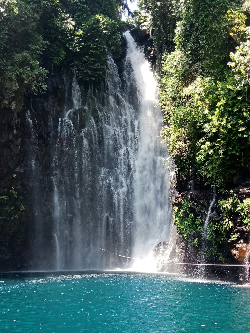 waterfalls in the middle of forest during daytime