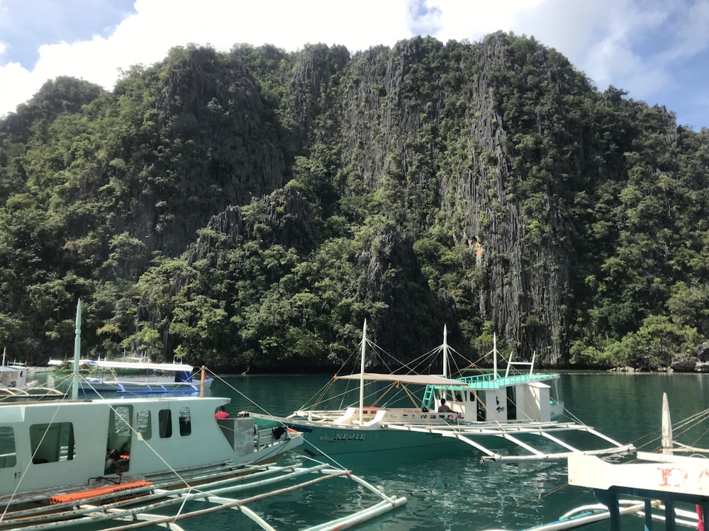 white and green boat on body of water near green trees during daytime