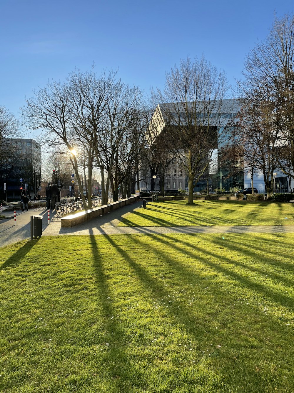 brown bare trees on green grass field during daytime