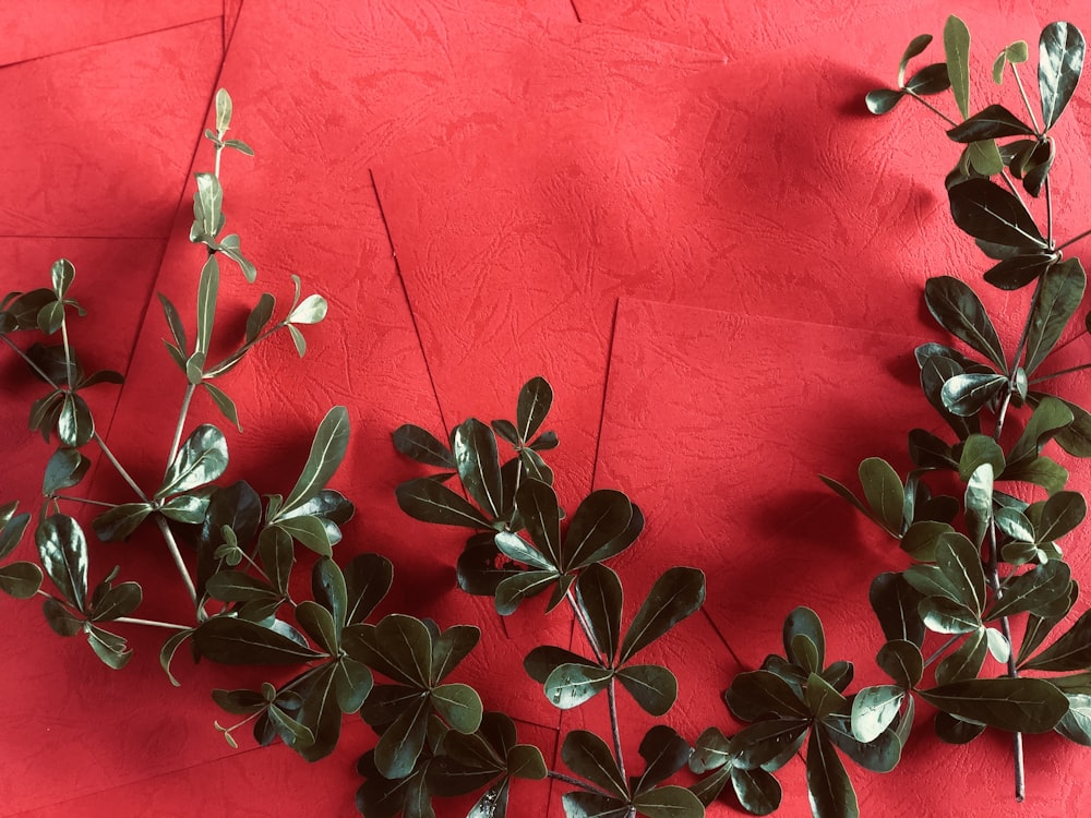 red and green plant on red leather textile