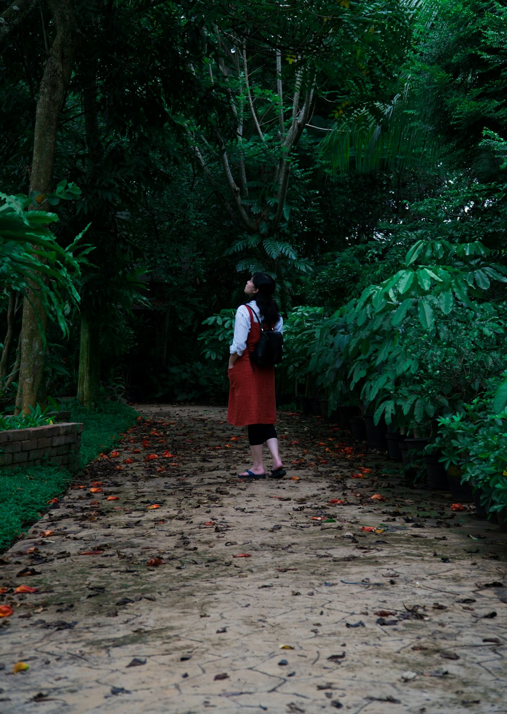 woman in white and red dress walking on pathway