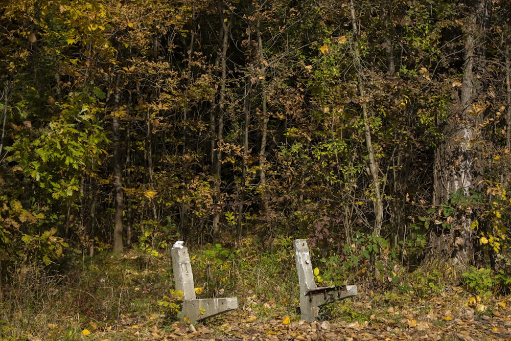 white wooden bench surrounded by green and yellow trees