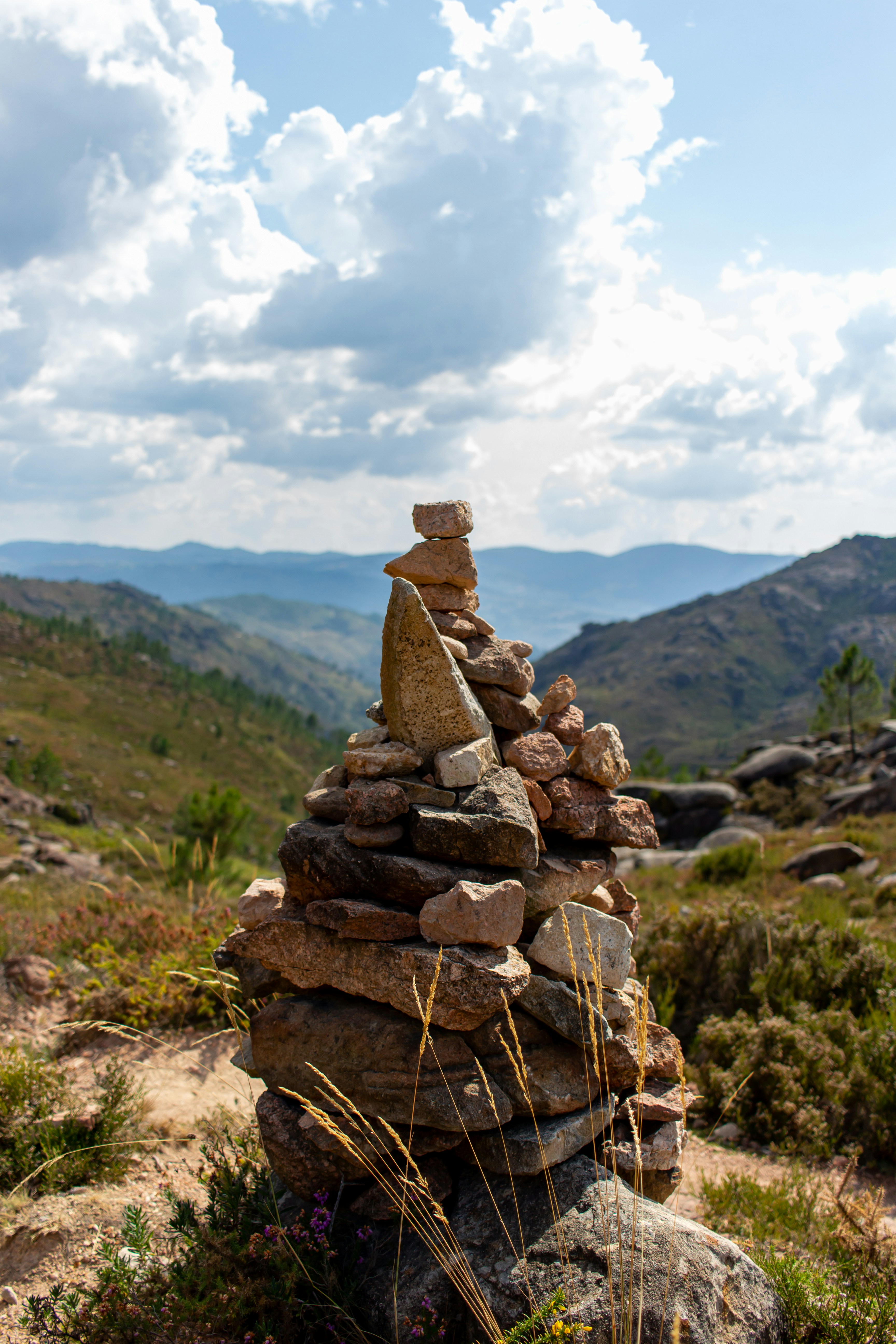 brown rocks on brown field during daytime