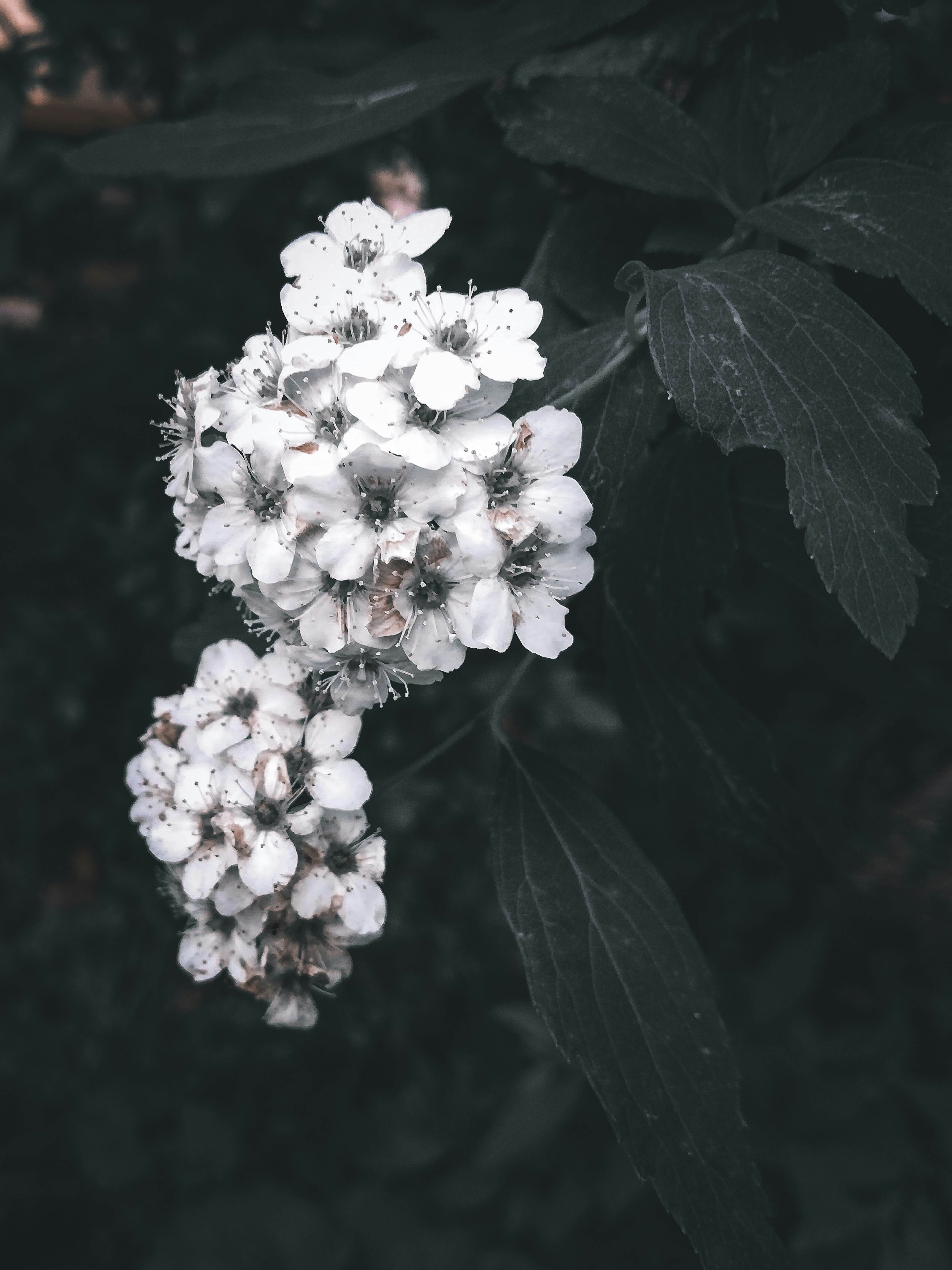 photo-1609934978634-21b6f3d5473c?ixid=M3wxMjA3fDB8MXxzZWFyY2h8MTJ8fHZpdGFzZWFsfGVufDB8fHx8MTc1ODIzODI0OXww\u0026ixlib=rb-4.1.0