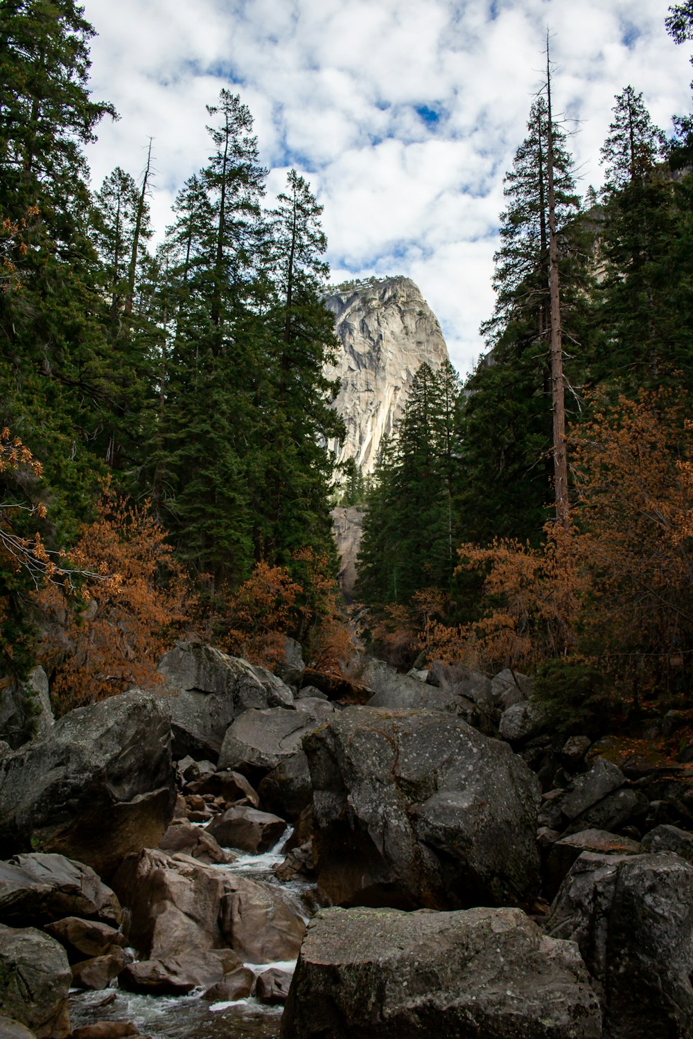 green trees near rocky mountain during daytime