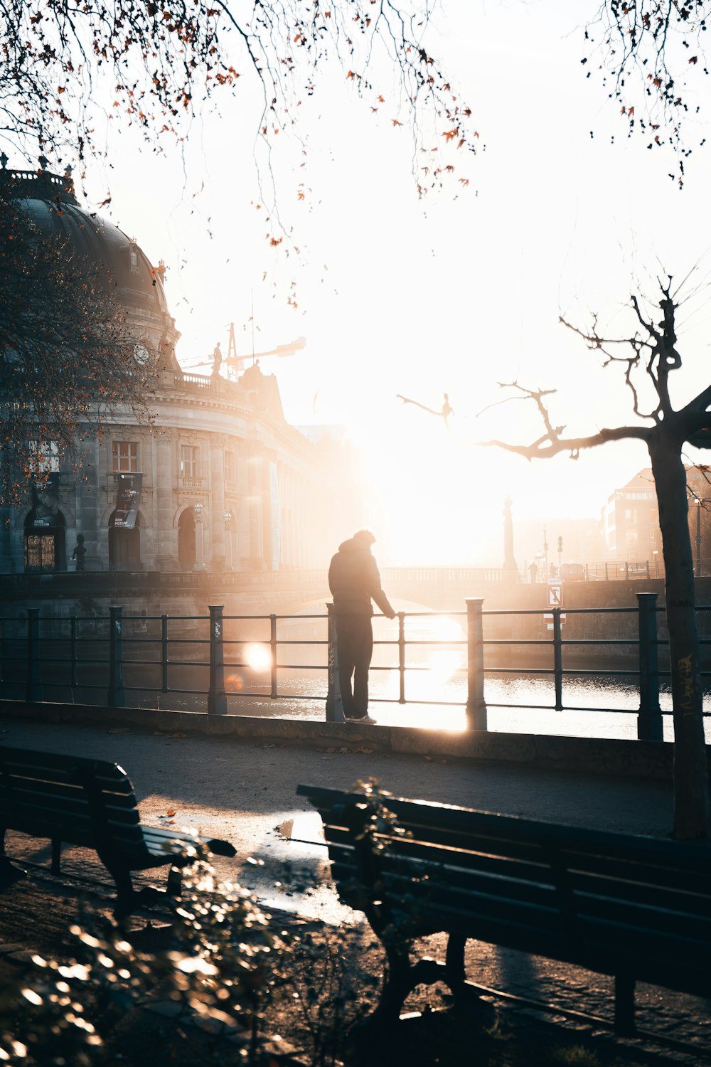 homme debout sur un parc pendant la journée