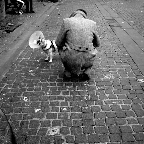 A person, wearing a long coat and hat, crouches down on a cobbled street beside a dog. The dog is wearing a cone collar, often used to prevent licking or scratching due to medical reasons. The scene is in black and white, creating a classic and somewhat somber atmosphere. The background shows more cobblestones and appears to be in an urban setting.
