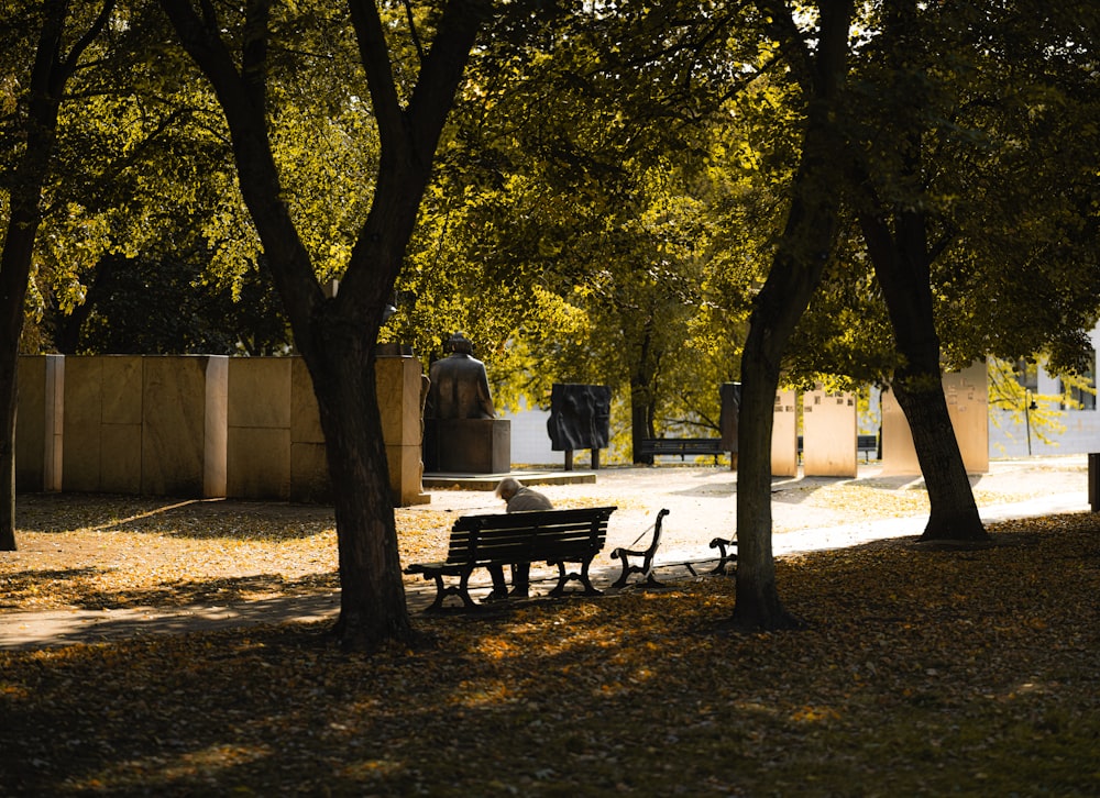 brown wooden bench under green tree during daytime