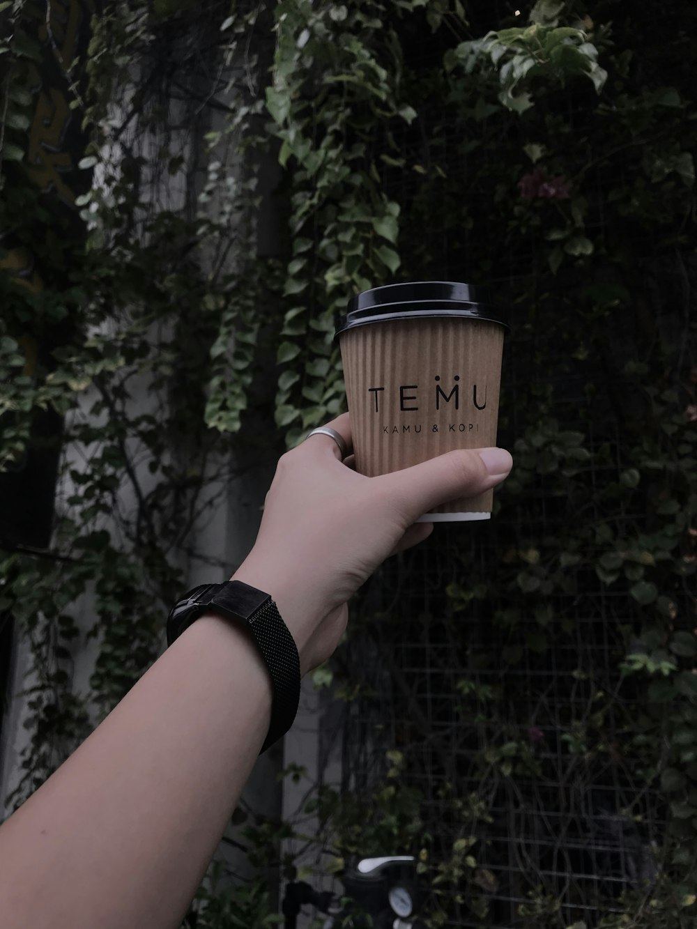 person holding brown coffee cup