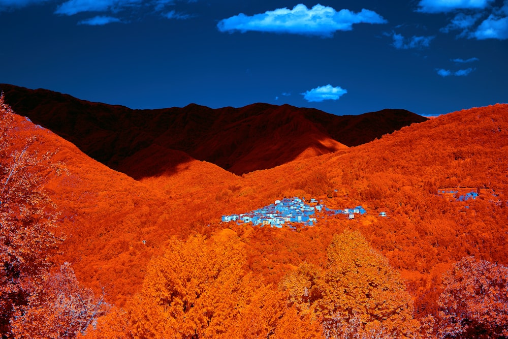 brown trees on brown mountain under blue sky during daytime