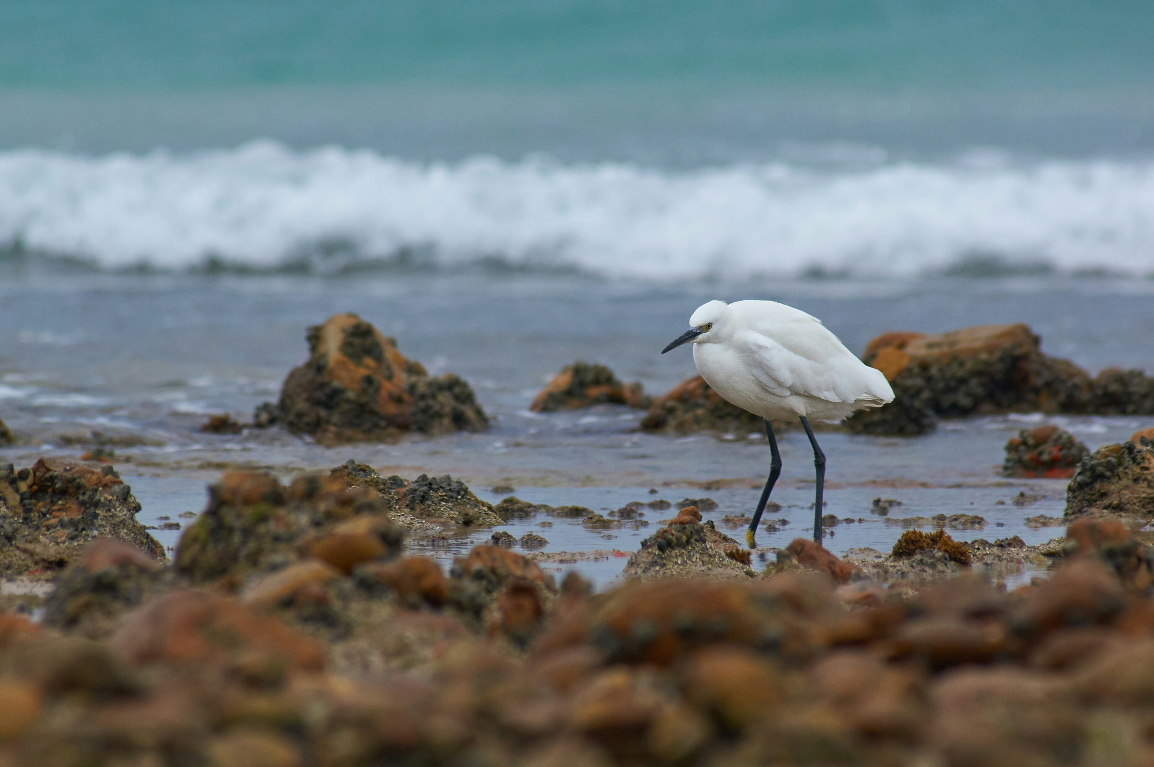 Photo by wolfgang_hasselmann