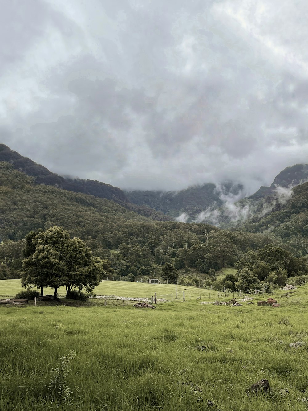 árvores verdes no campo de grama verde perto da montanha sob nuvens brancas durante o dia