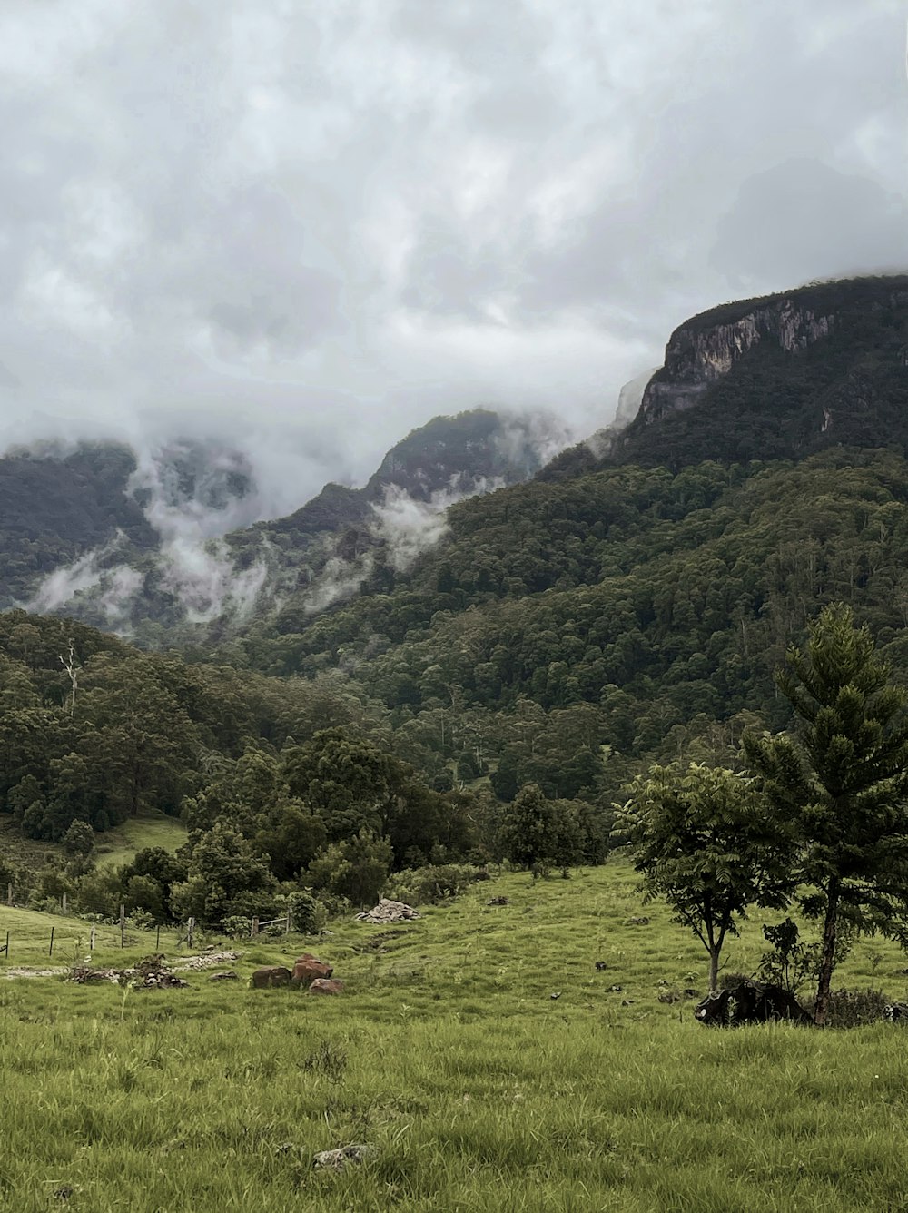 green grass field and trees on mountain under white clouds during daytime