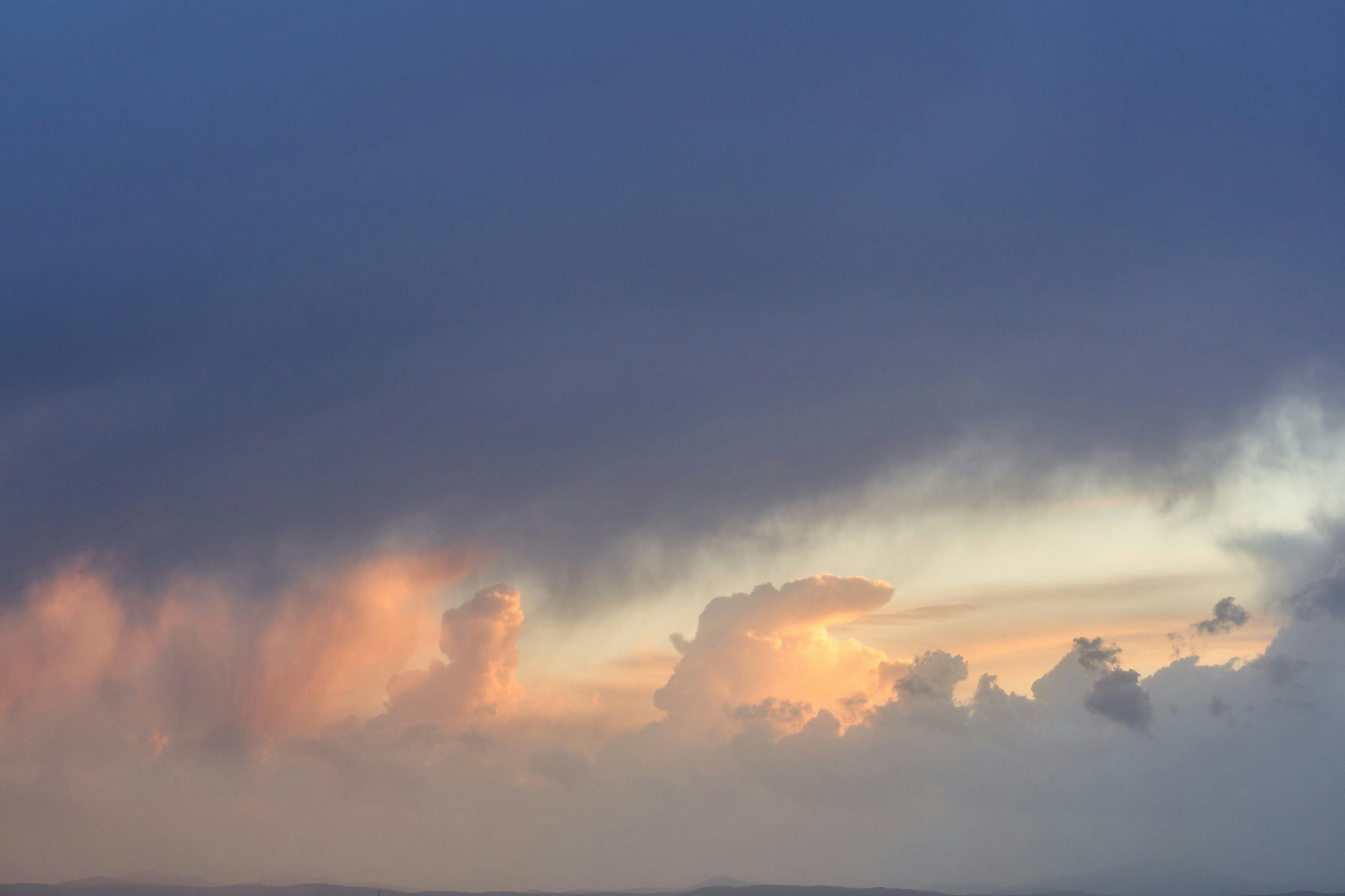 Photo by wolfgang_hasselmann