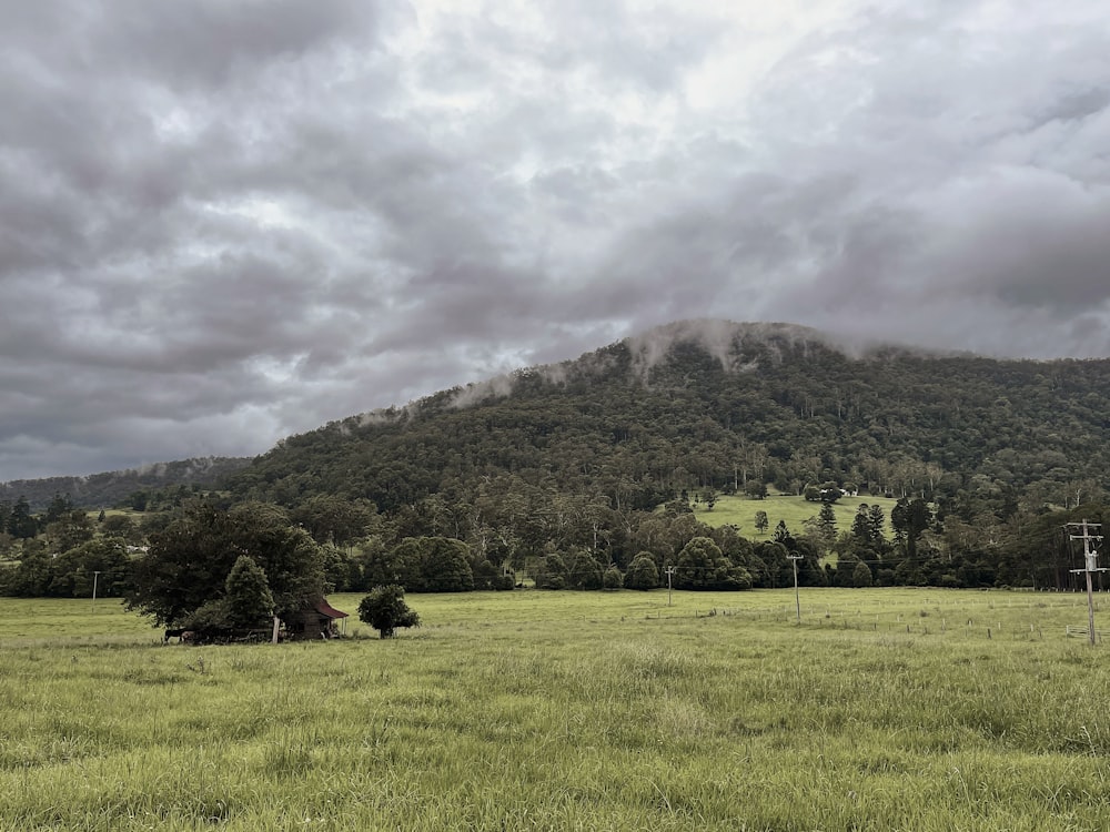 green grass field near green mountain under white clouds during daytime