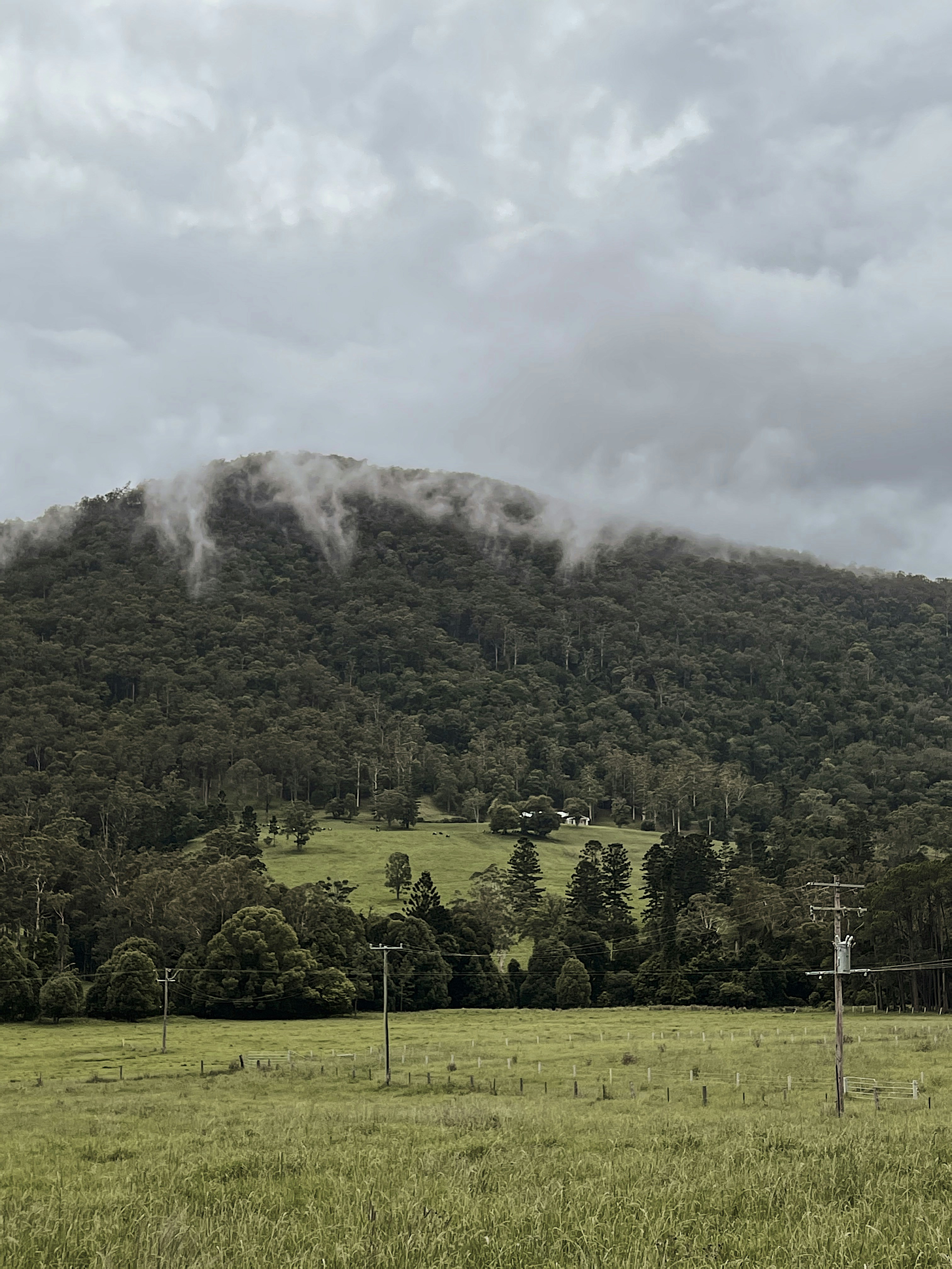 arbres verts sur un champ d’herbe verte près de la montagne sous des nuages blancs pendant la journée