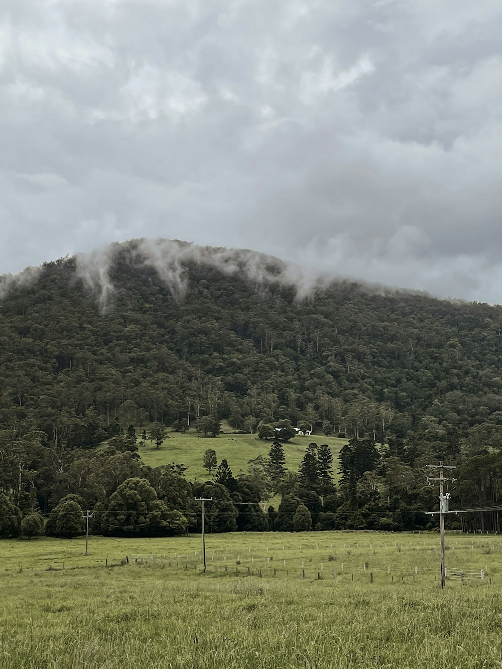 green trees on green grass field near mountain under white clouds during daytime