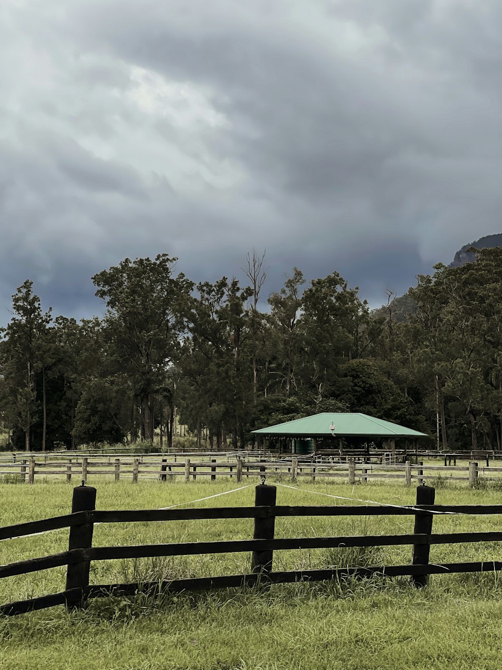 green and white wooden house near green trees under white clouds during daytime