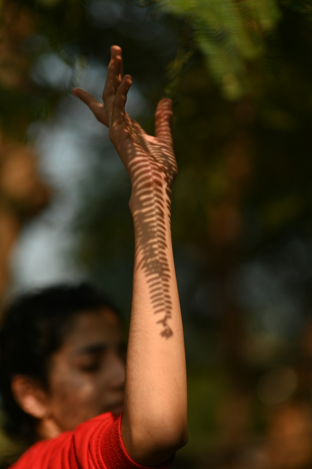 person raising both hands during daytime